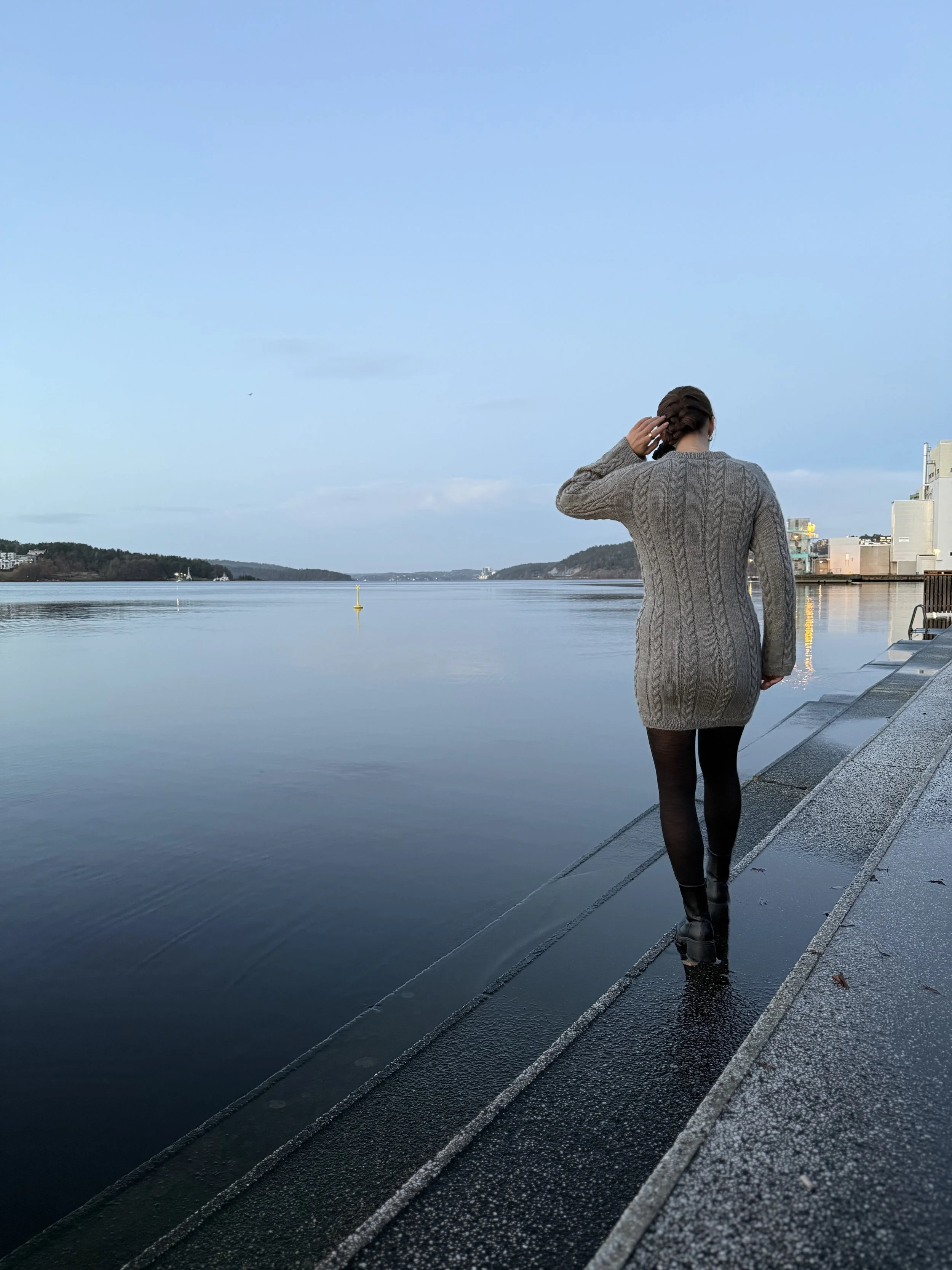 IMG_1334.jpeg (Copy)