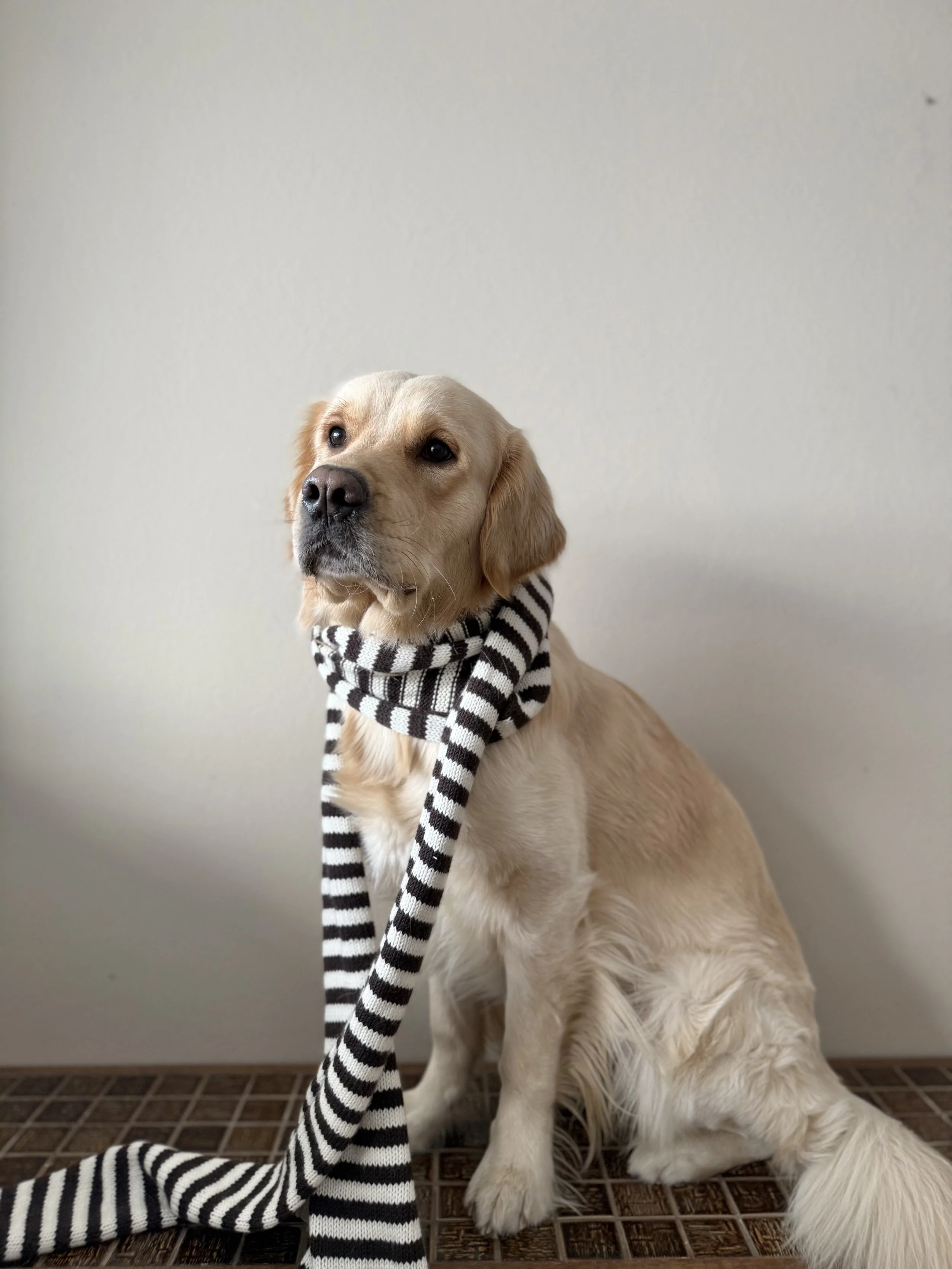 IMG_0796.jpeg (Copy)