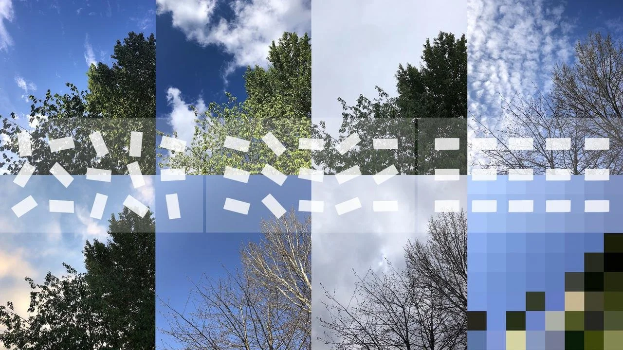 David Man & Tristan Ferne / Better Images of AI / Trees / CC-BY 4.0