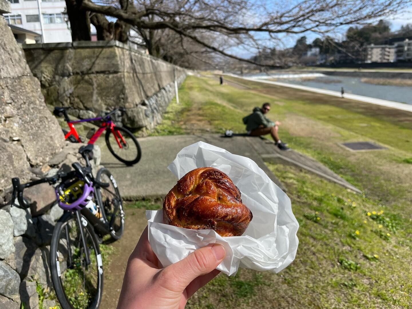 Pictures to go with this past week&rsquo;s podcast!

1) eating cardamom rolls on the Saigawa (not pictured is when a marsh harrier flew down and snatched the last bite out of Zeb&rsquo;s hand!) 
2-3) Cherry blossoms are slowing starting to bloom here