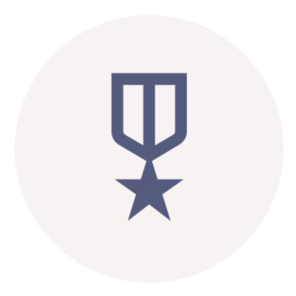 Military icon