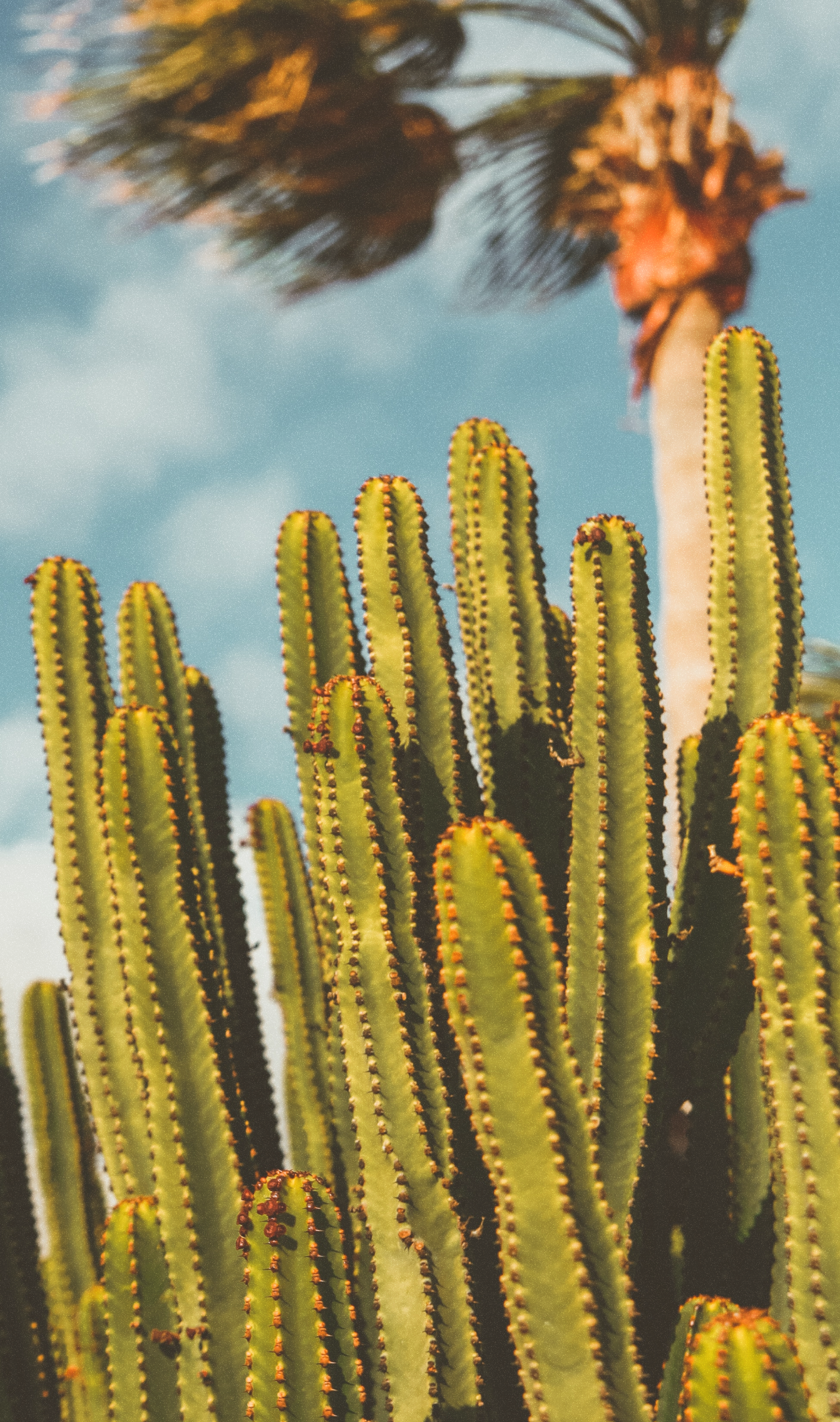 Bahia blanca resort nature