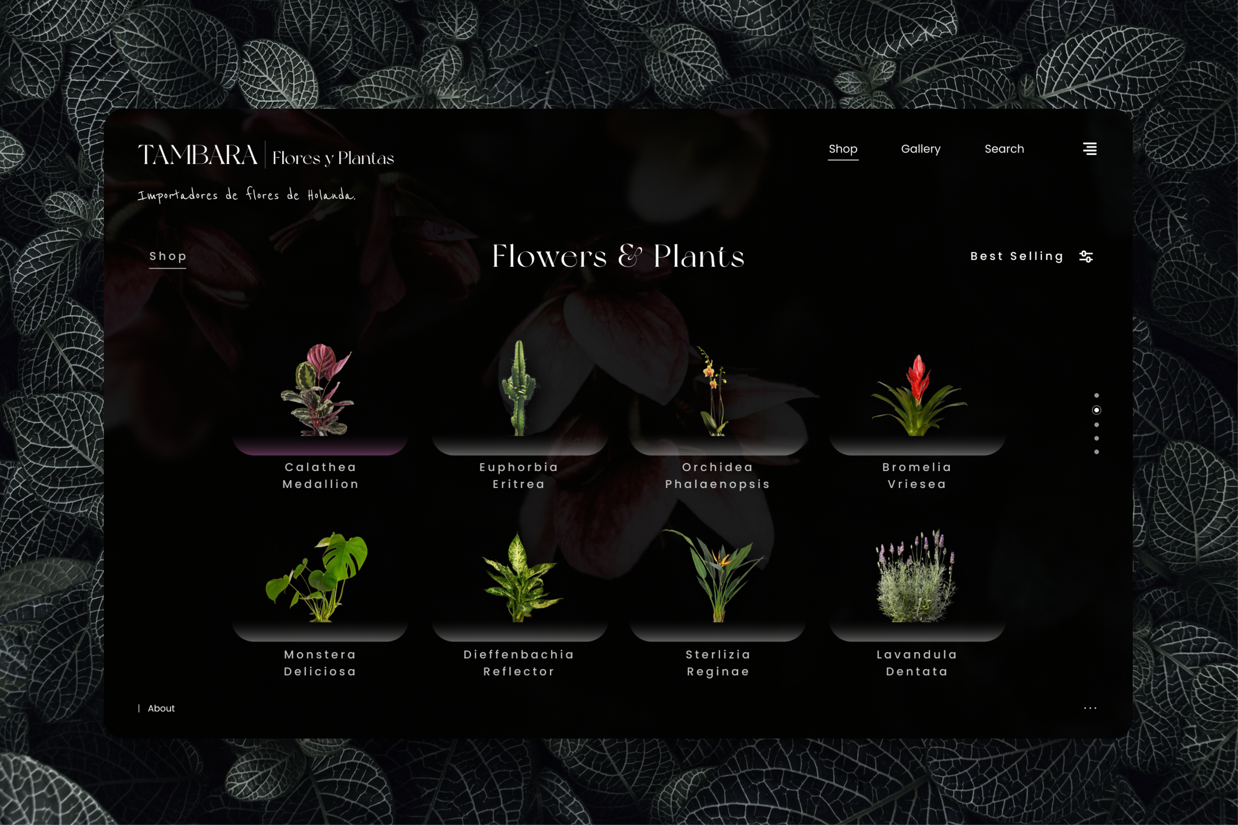 Tambara store web design section 3