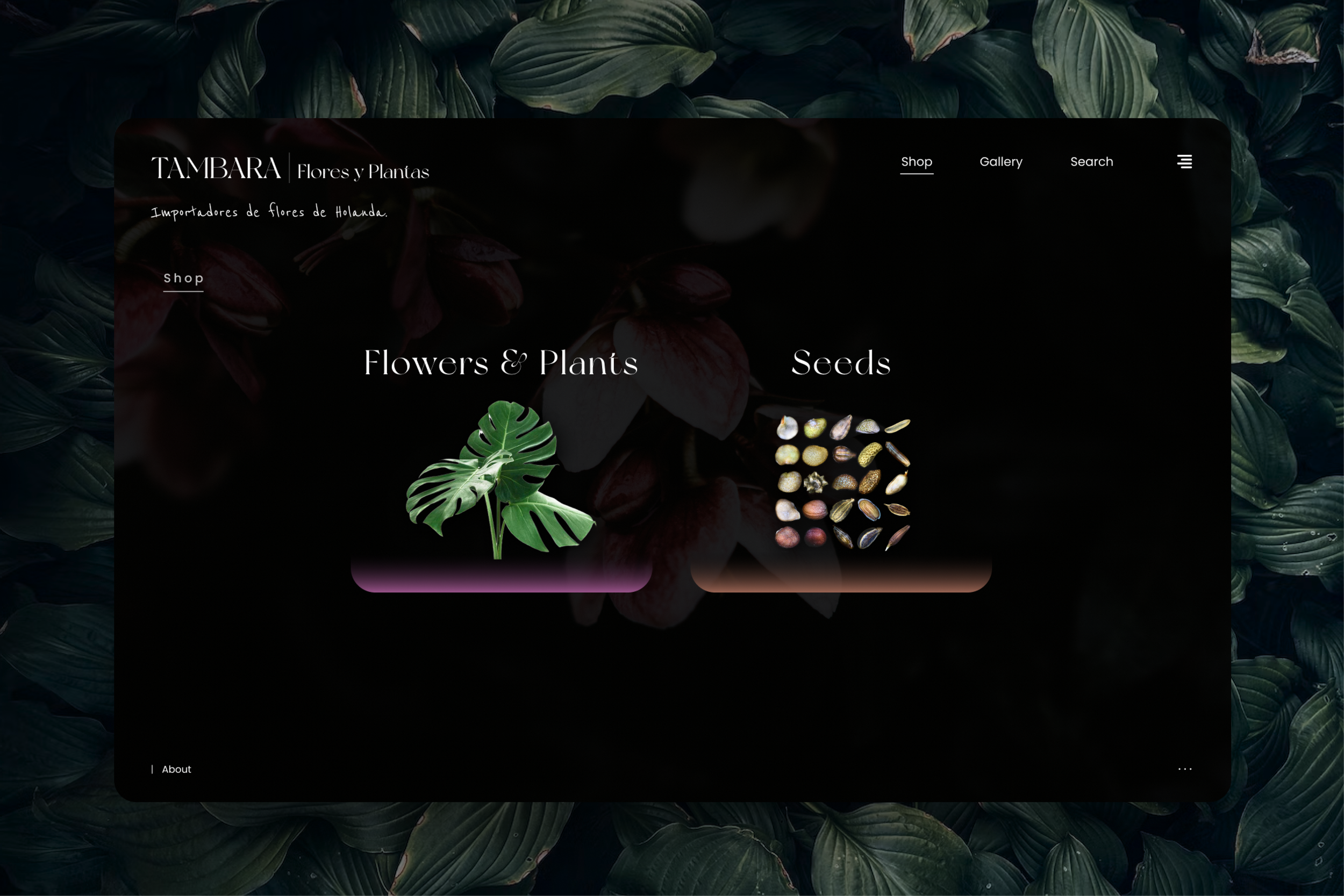 Tambara store web design section 2