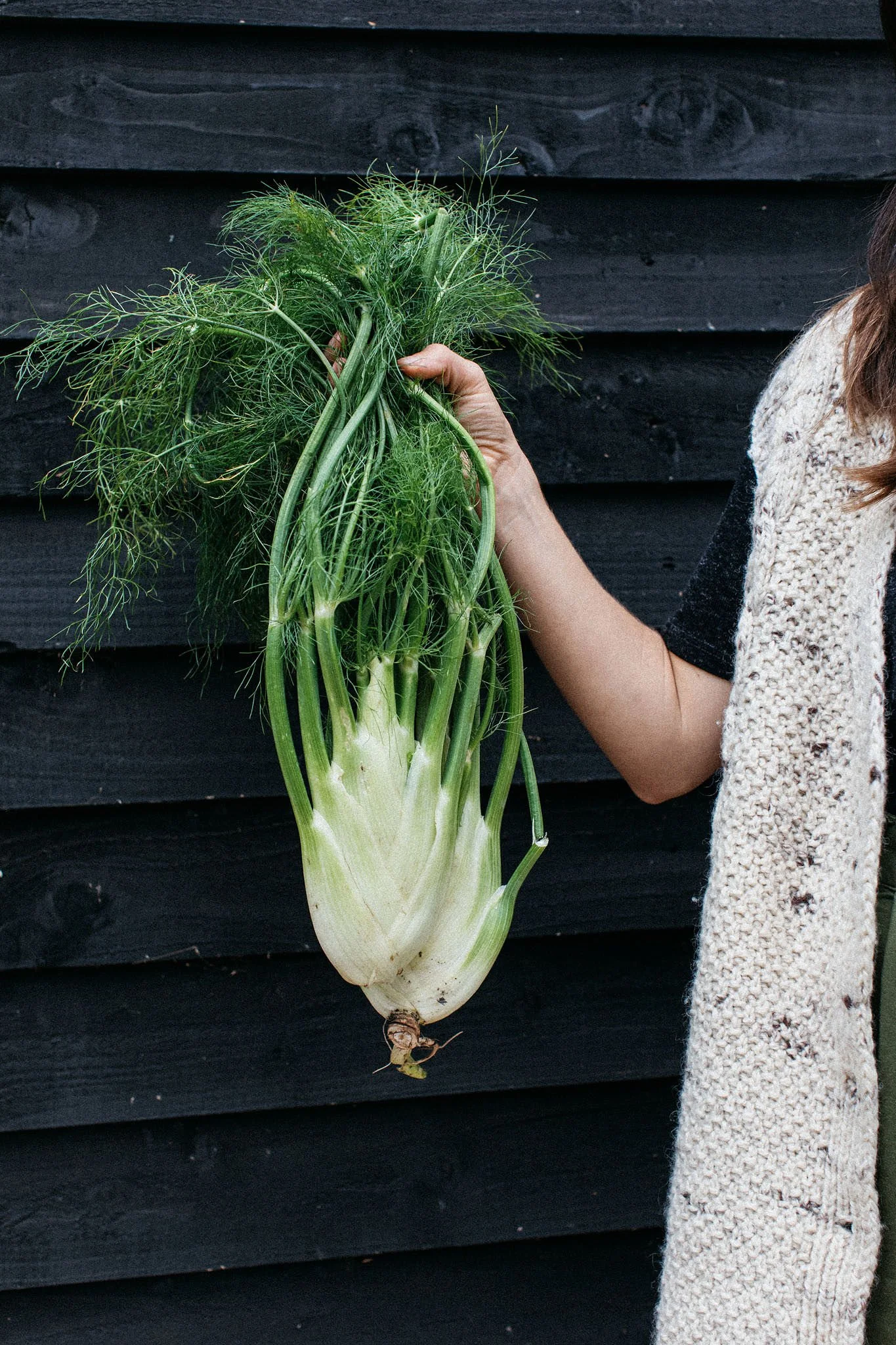 FieldFood_Summer23-0214.jpg