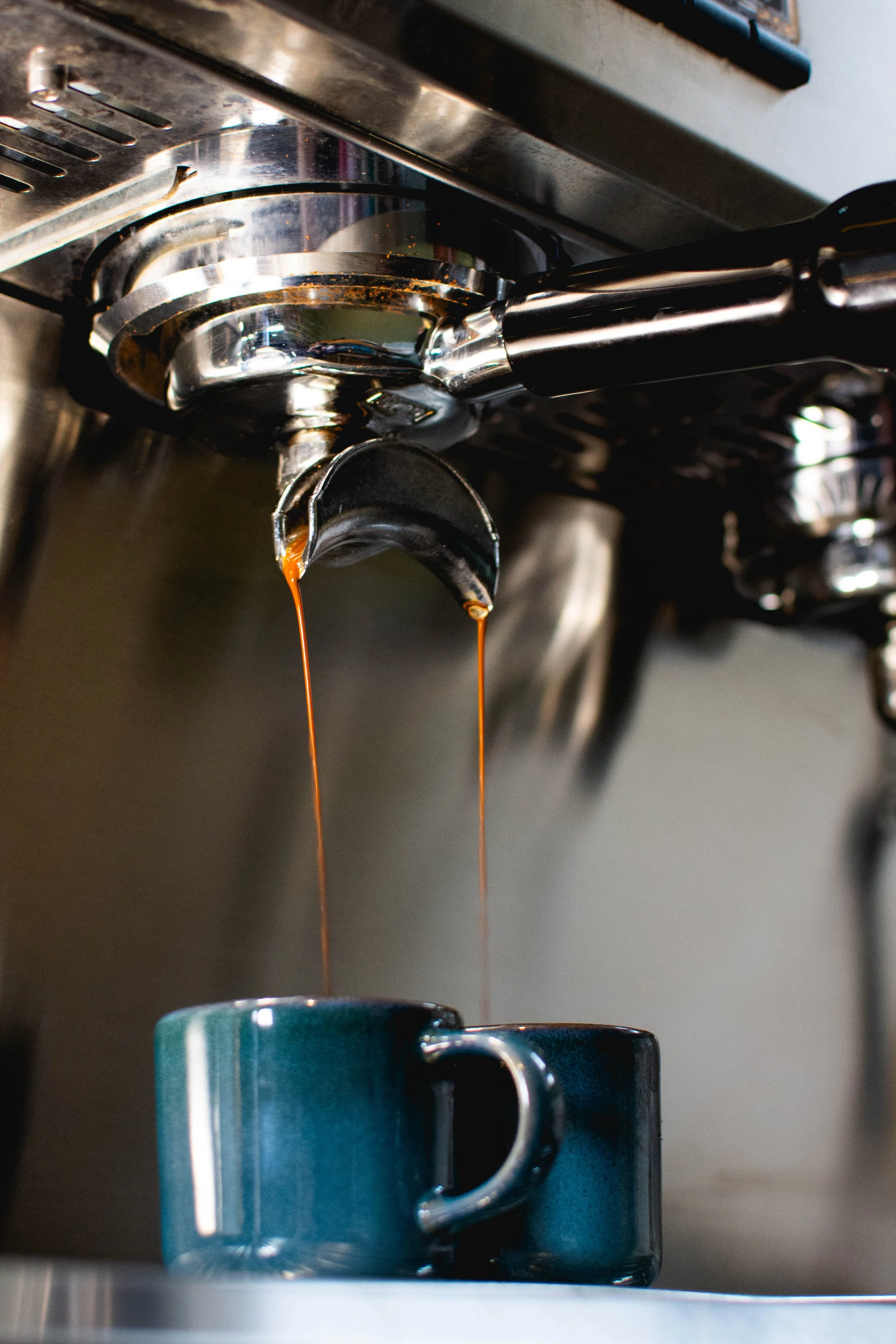 Tostig Feb 2026-72.jpg