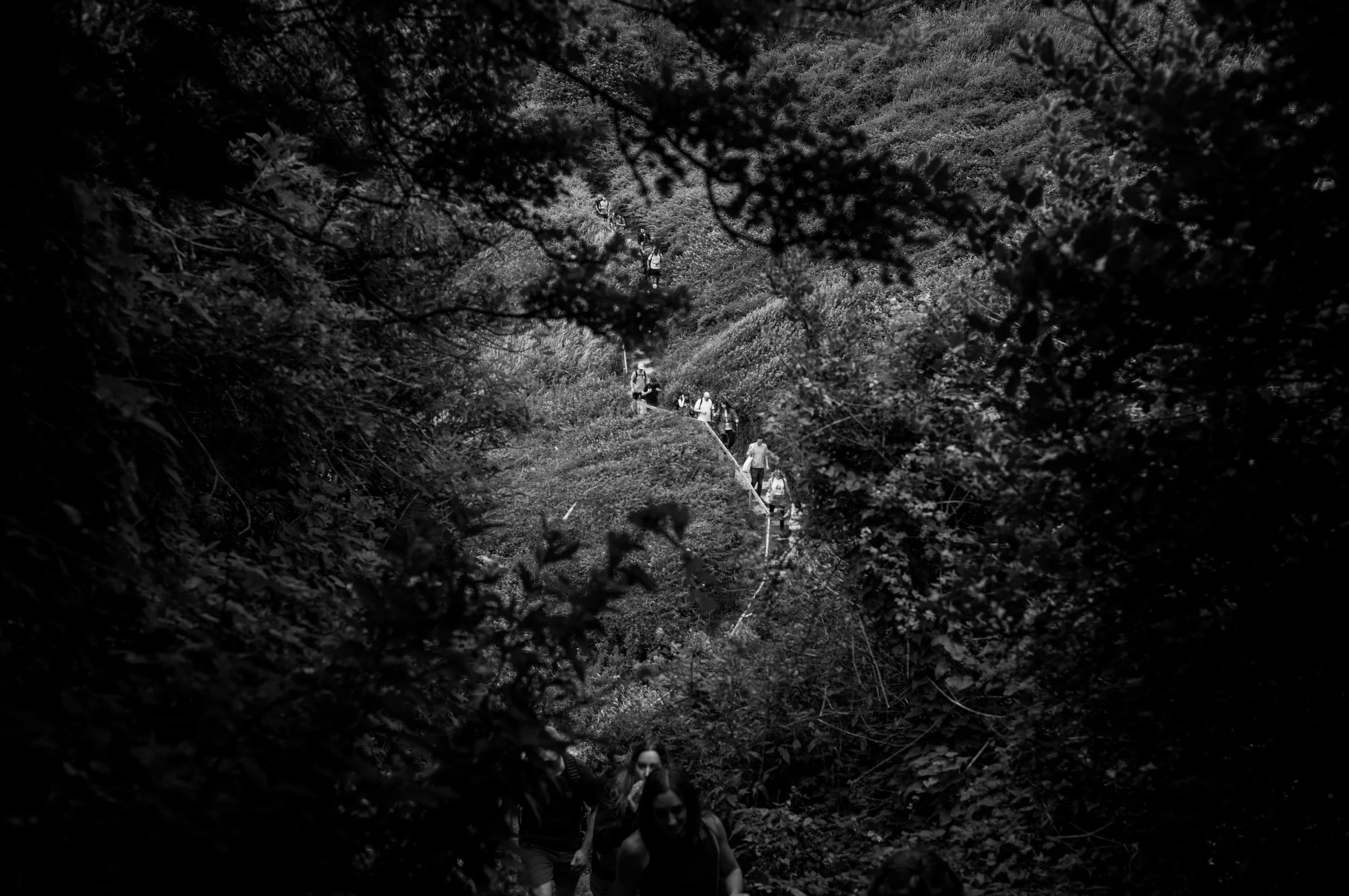 The Wild Stride Festival