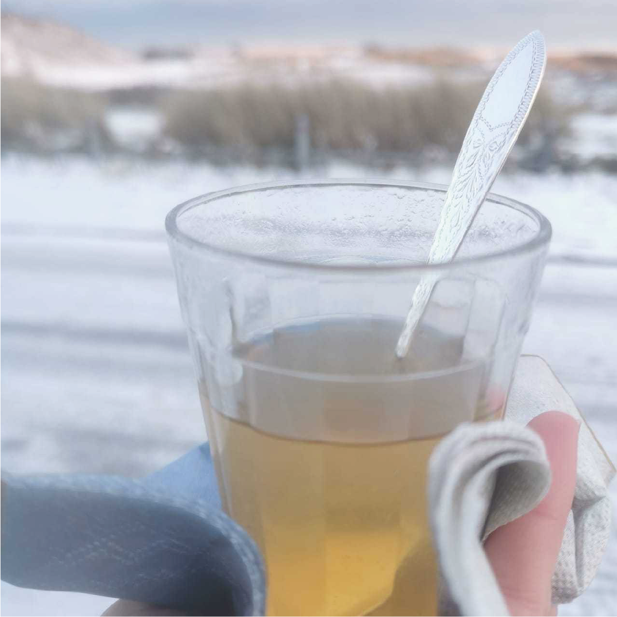 Open Atelier Kick-off Heritage Toddy