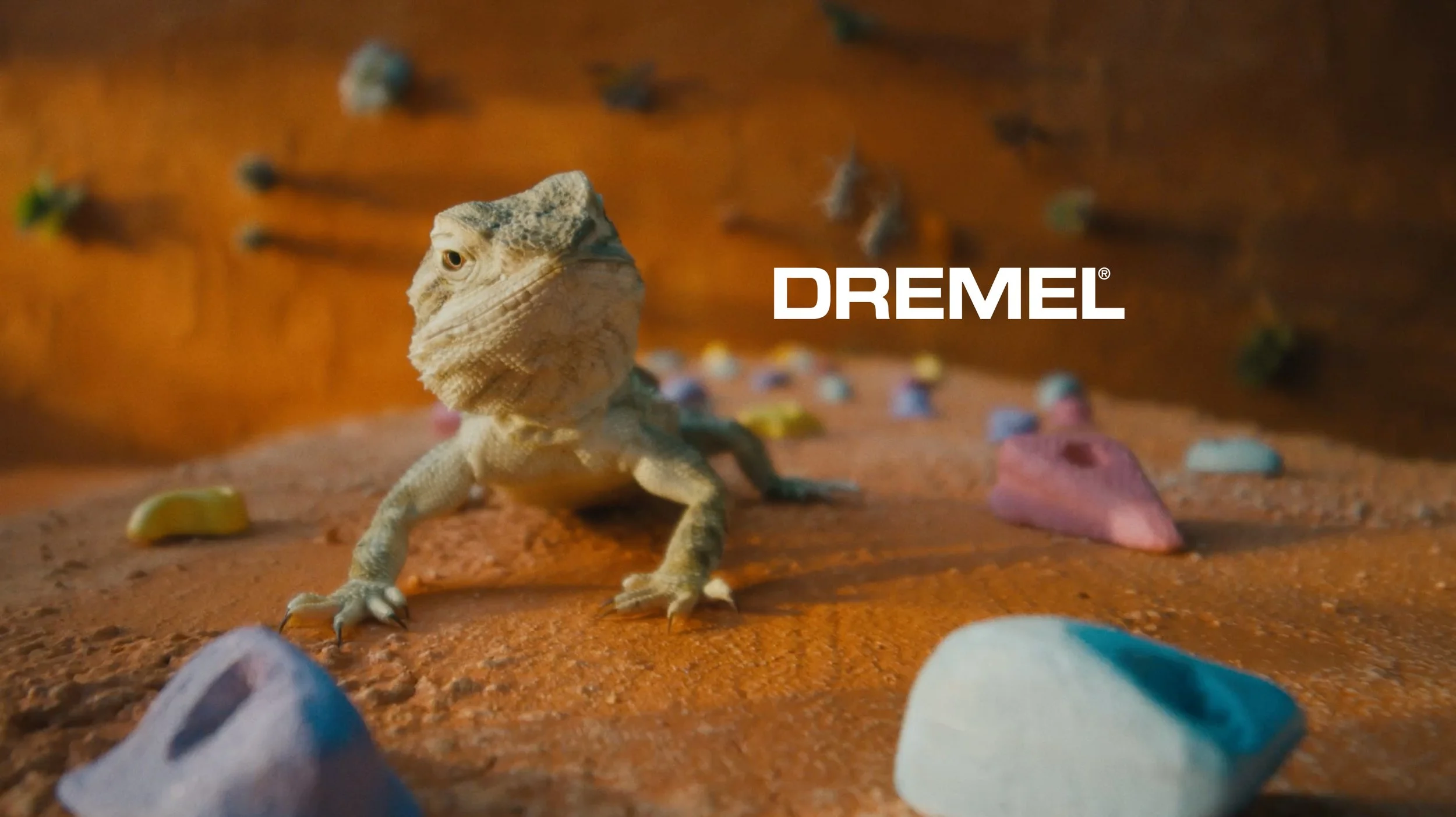 Dremel.jpg