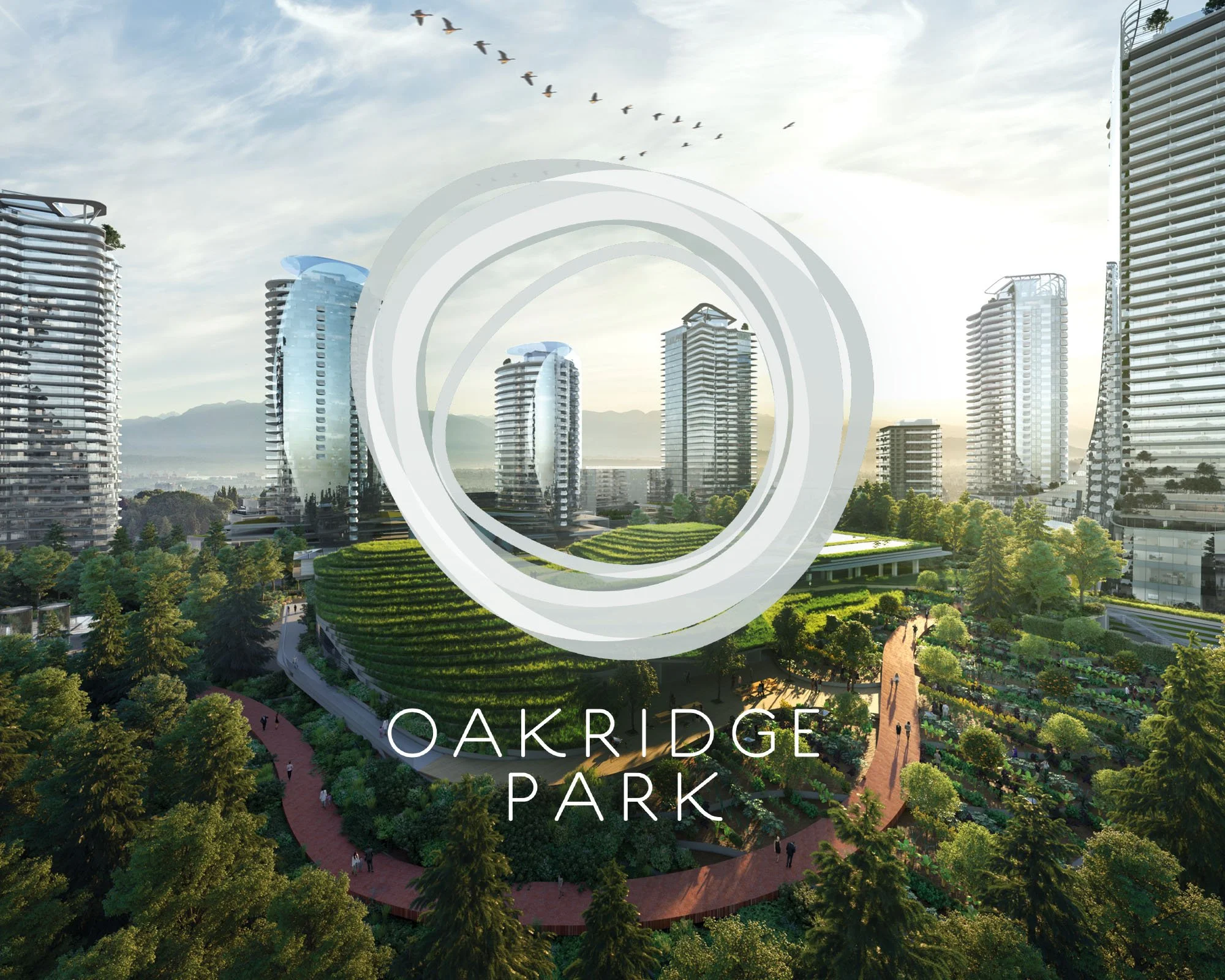 Positioning & campaign (creative direction, concept, copy)