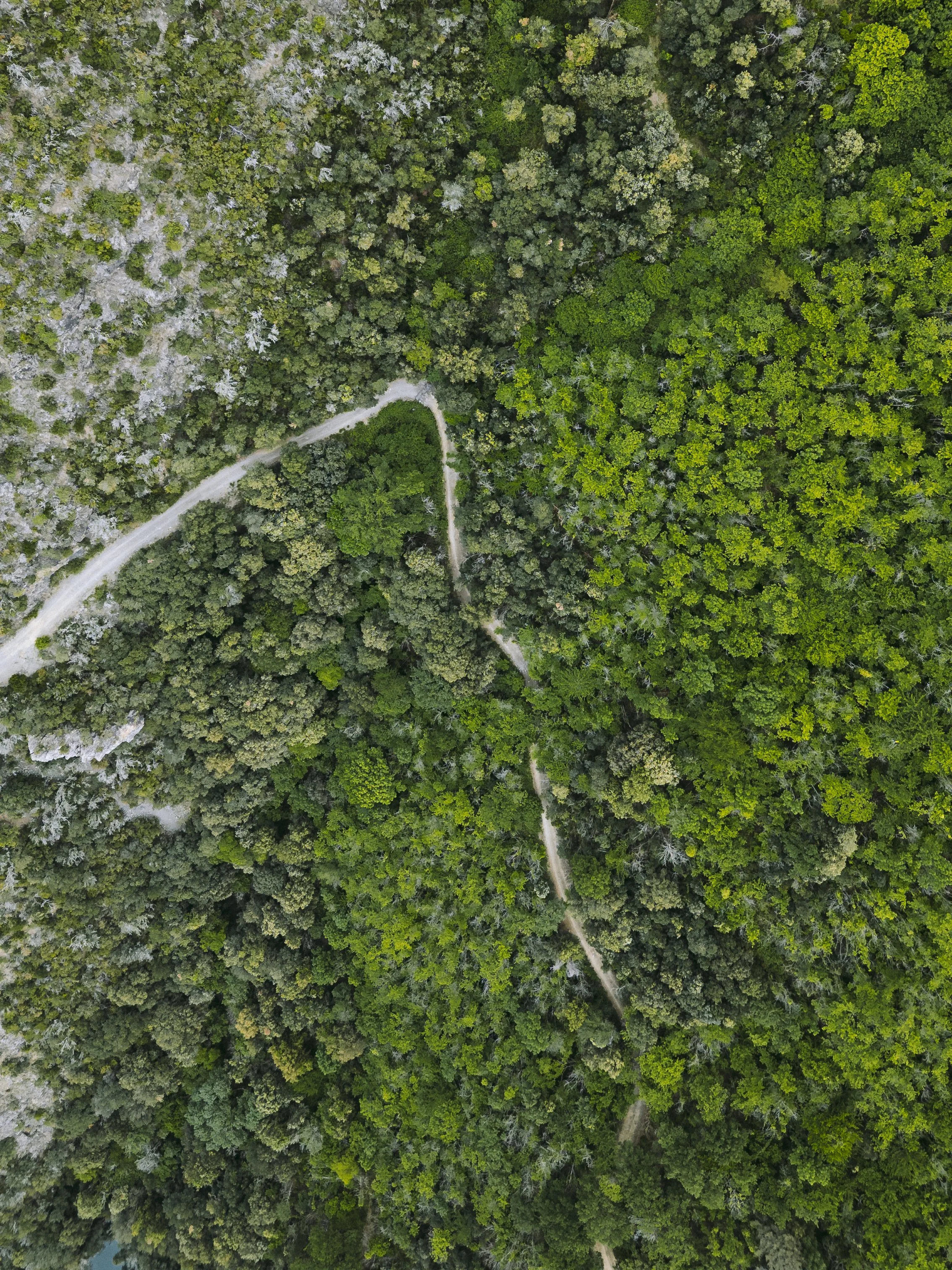brazodehierro_pasnormalstudios_sale summit girona_day 2_drone_photo-0237.jpeg