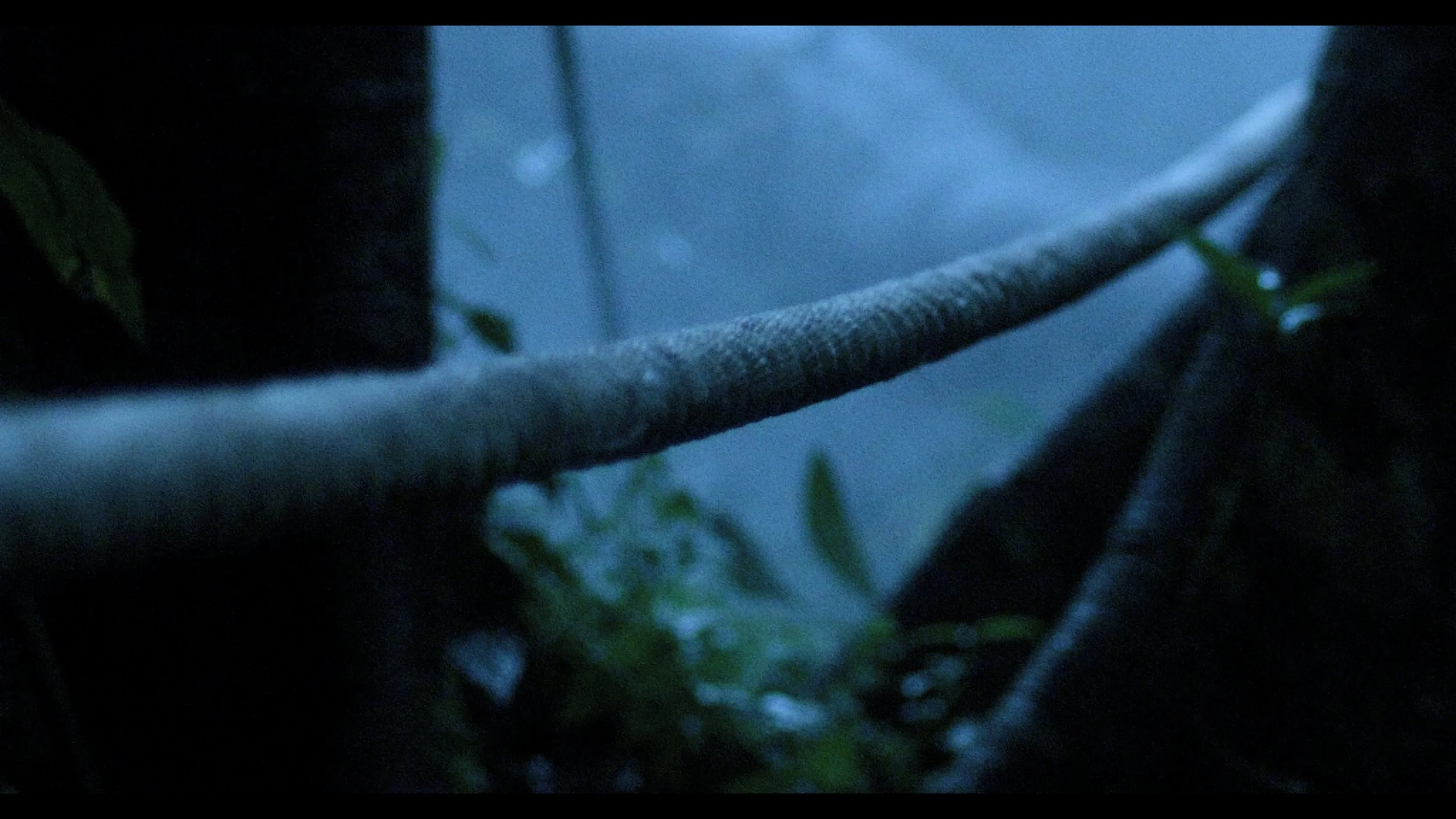 2 LINE - FINAL LOOK_00_09_50_11.jpg