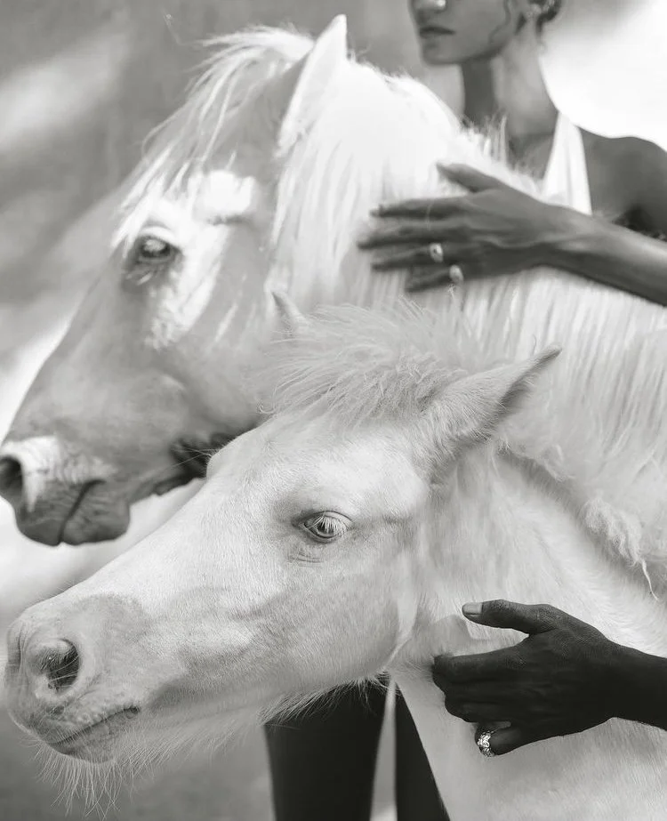 by Natalie Karpushenko