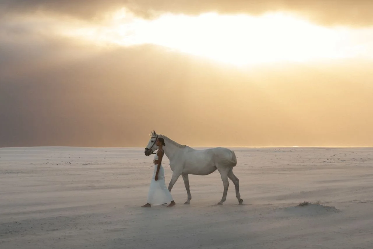 photo_2024-10-04 17.30.51.jpeg