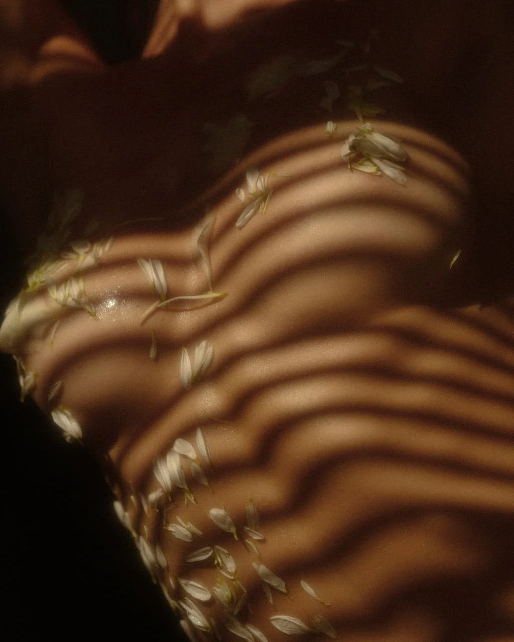 photo_2024-05-08 12.09.44.jpeg