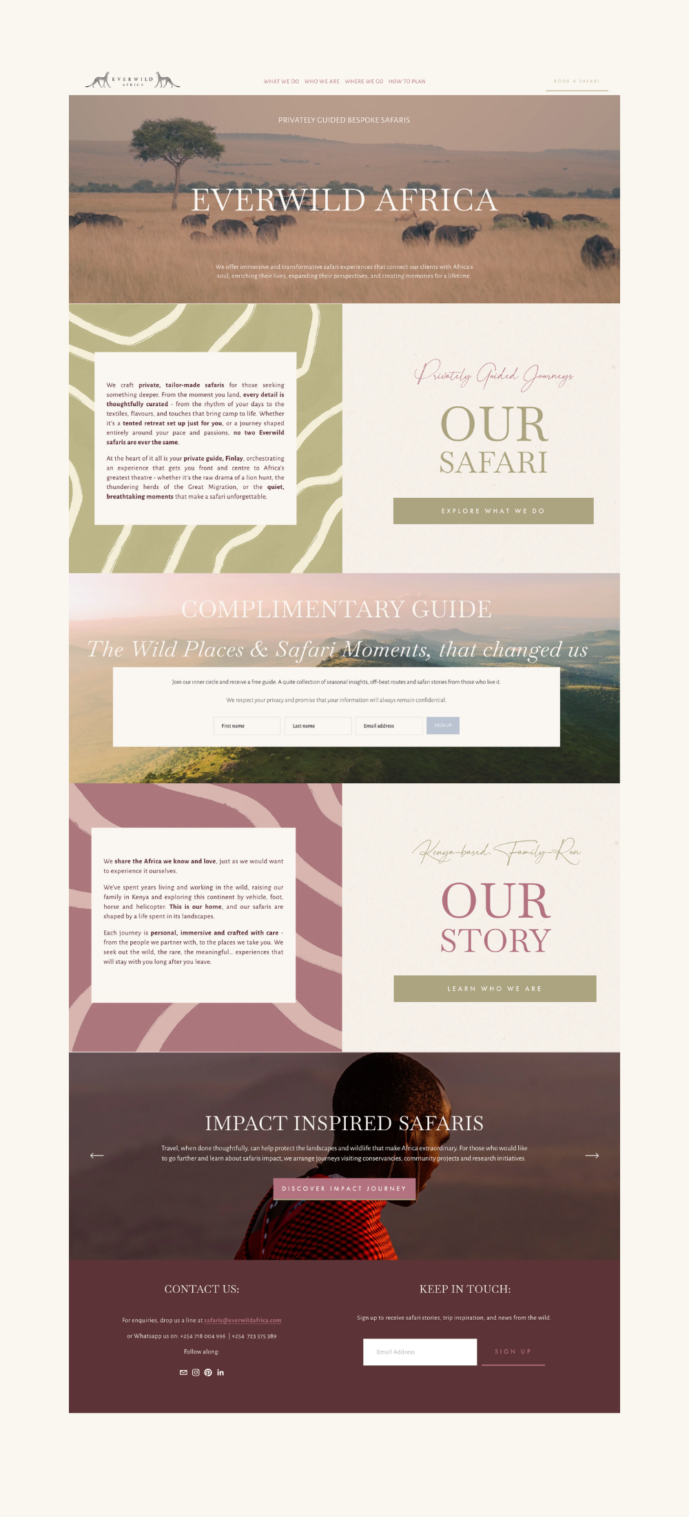 MOCKUPS EVERWILD.png