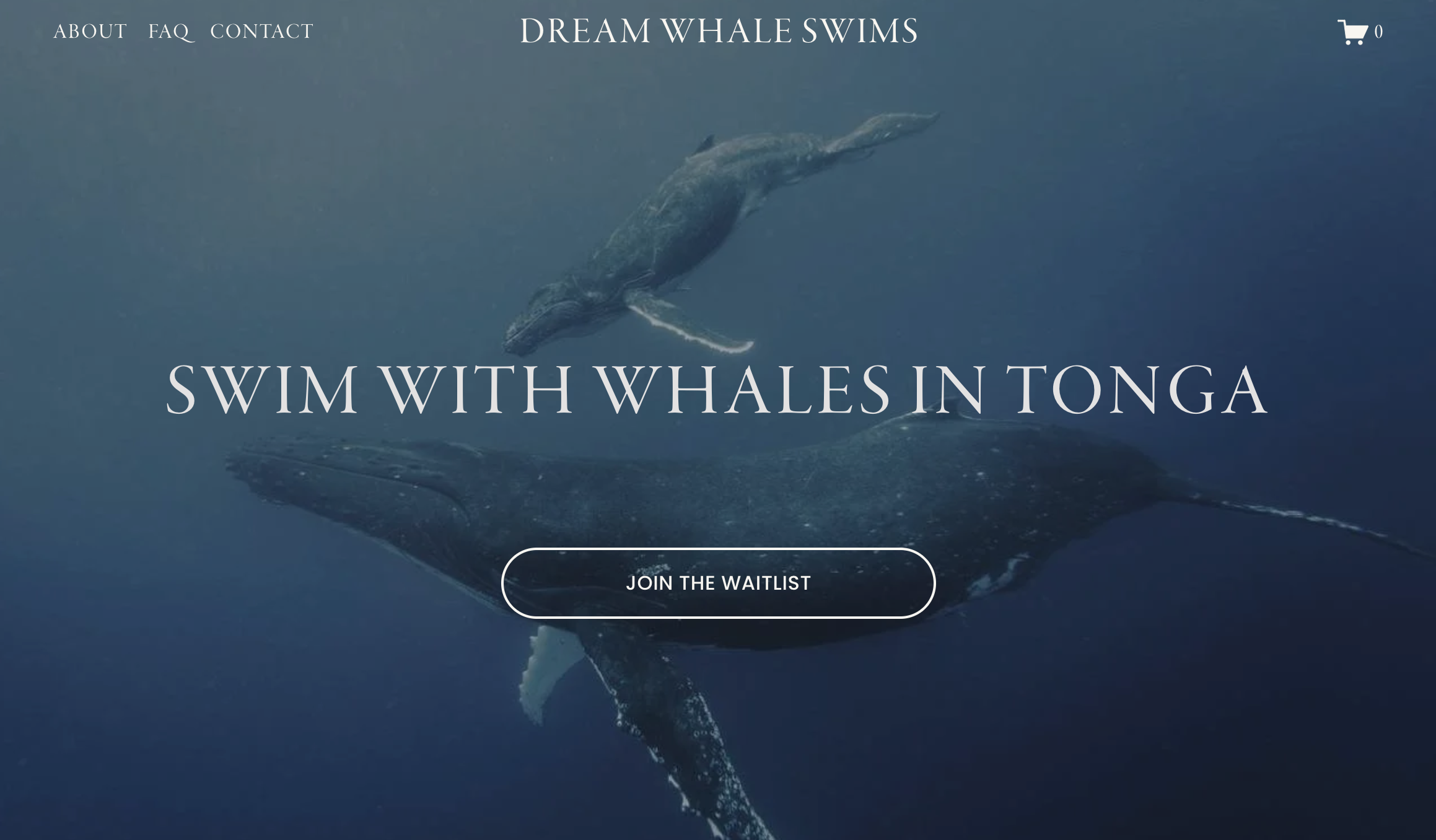 Dream Whales • Travel Industry
