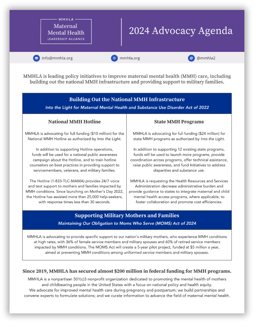 Advocacy Day — Maternal Mental Health Leadership Alliance: MMHLA