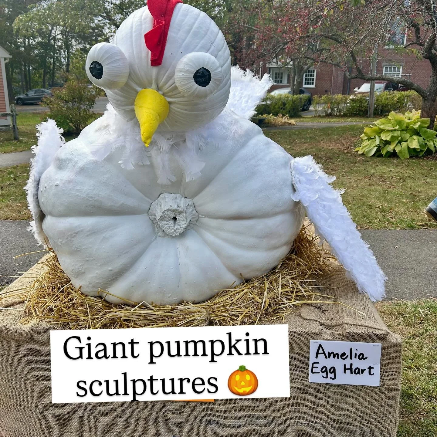 A few of the amazing giant pumpkin works of art at the @damariscottapumpkinfest in Midcoast Maine. Swipe through to the last one to see my favorite! 🐸 Which one do you like best? 🎃

#mainelife #maine #damariscottapumpkinfest #damariscottamaine