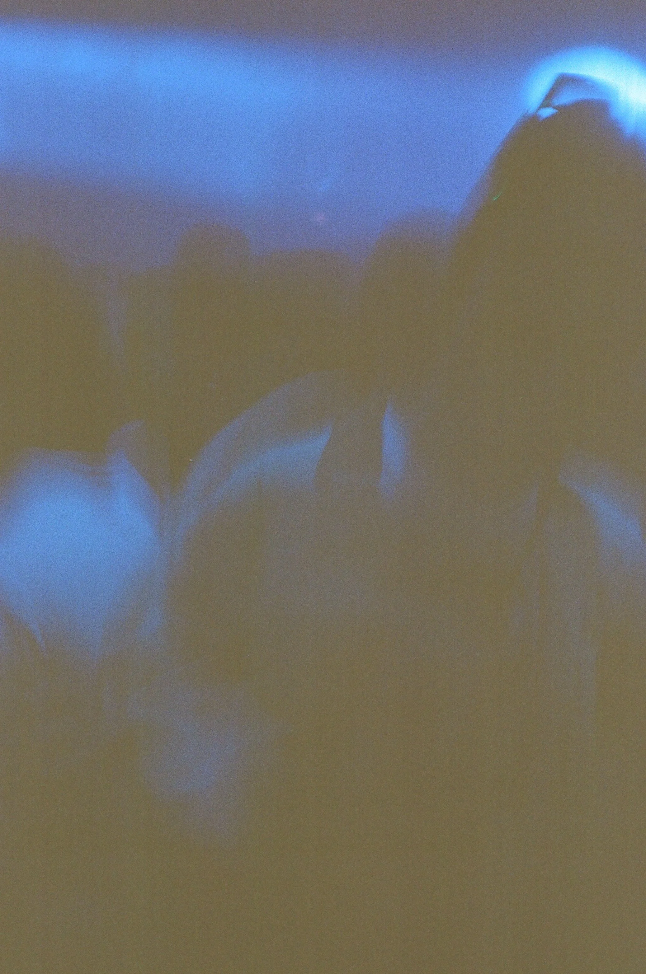 000030120011.jpg