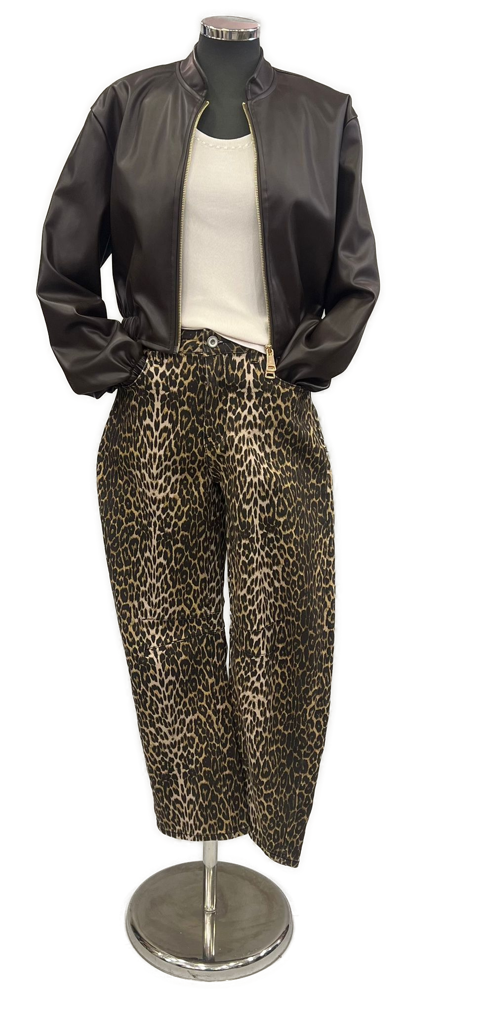 autumn transitional 2025 pic2.png