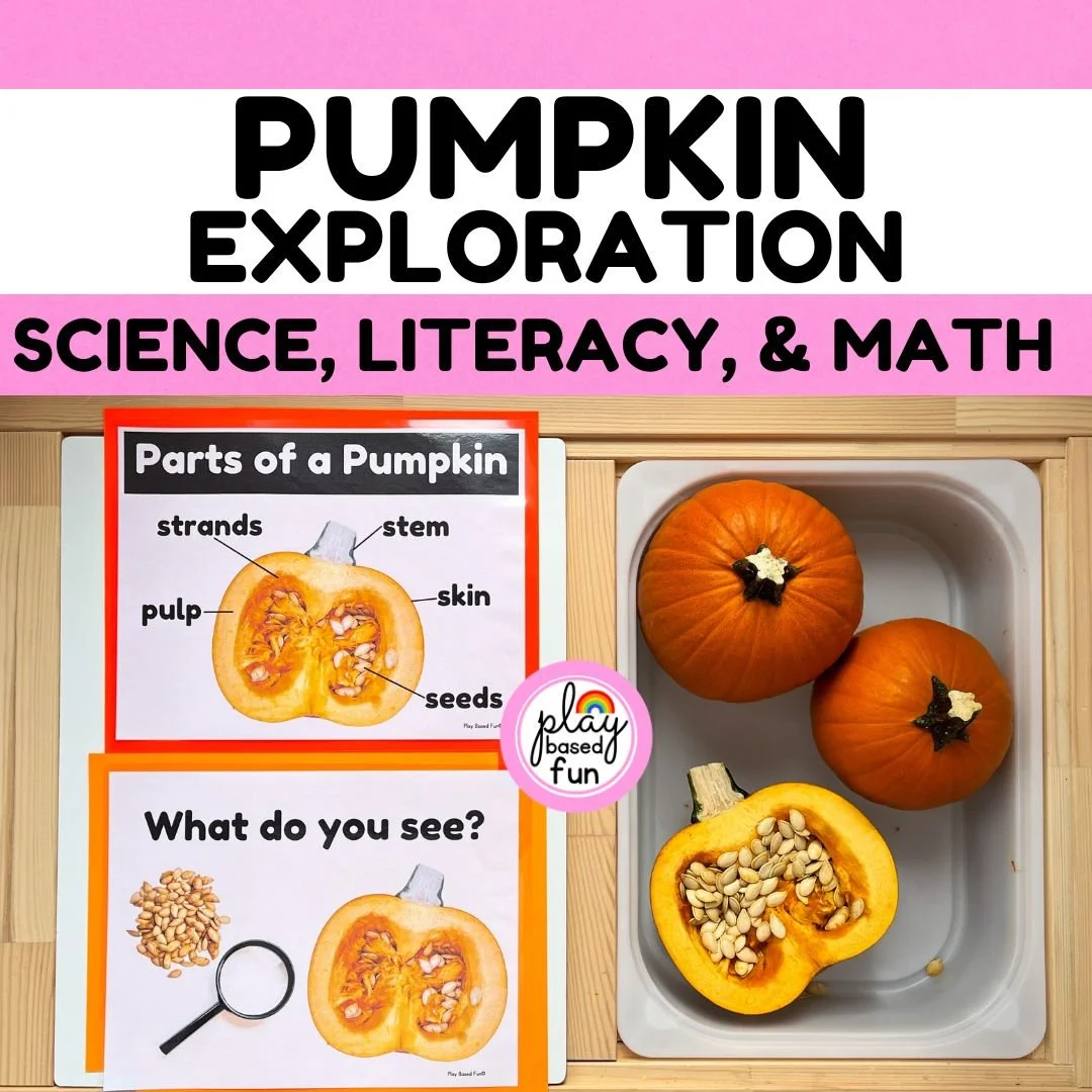 SQR Pumpkin Exploration (1).jpg