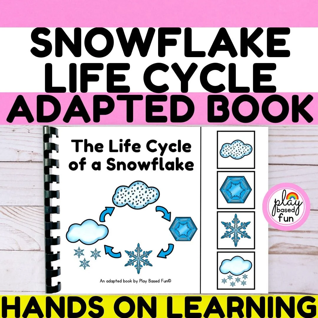 SQR LIFE CYCLE SNOWFLAKE.jpg