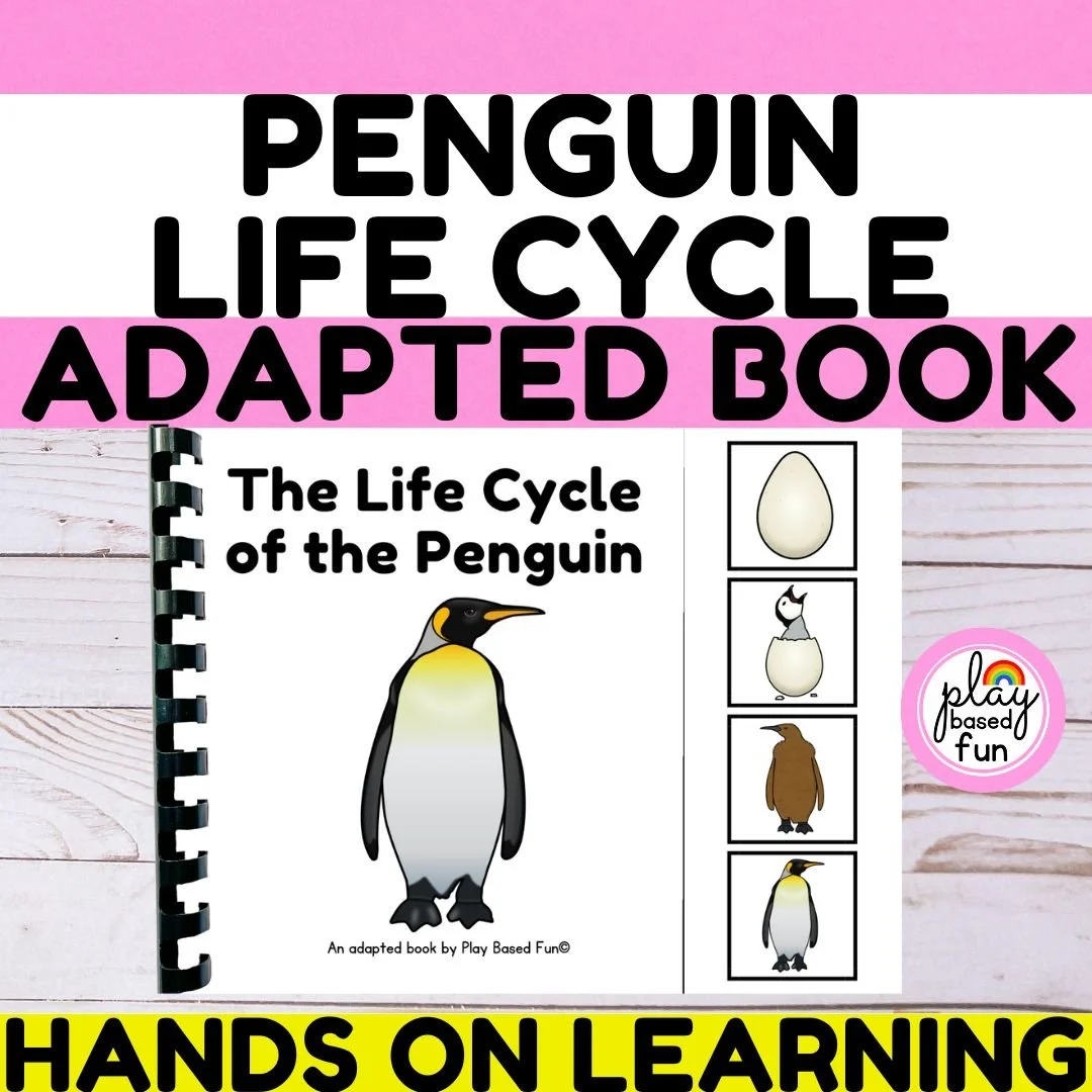 _SQR LIFE CYCLE penguin - Version 2.jpg