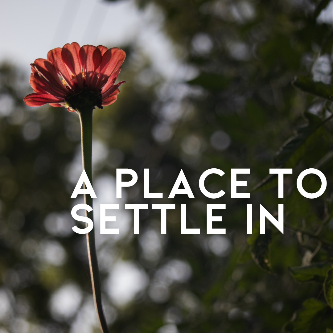 A Place to Settle In