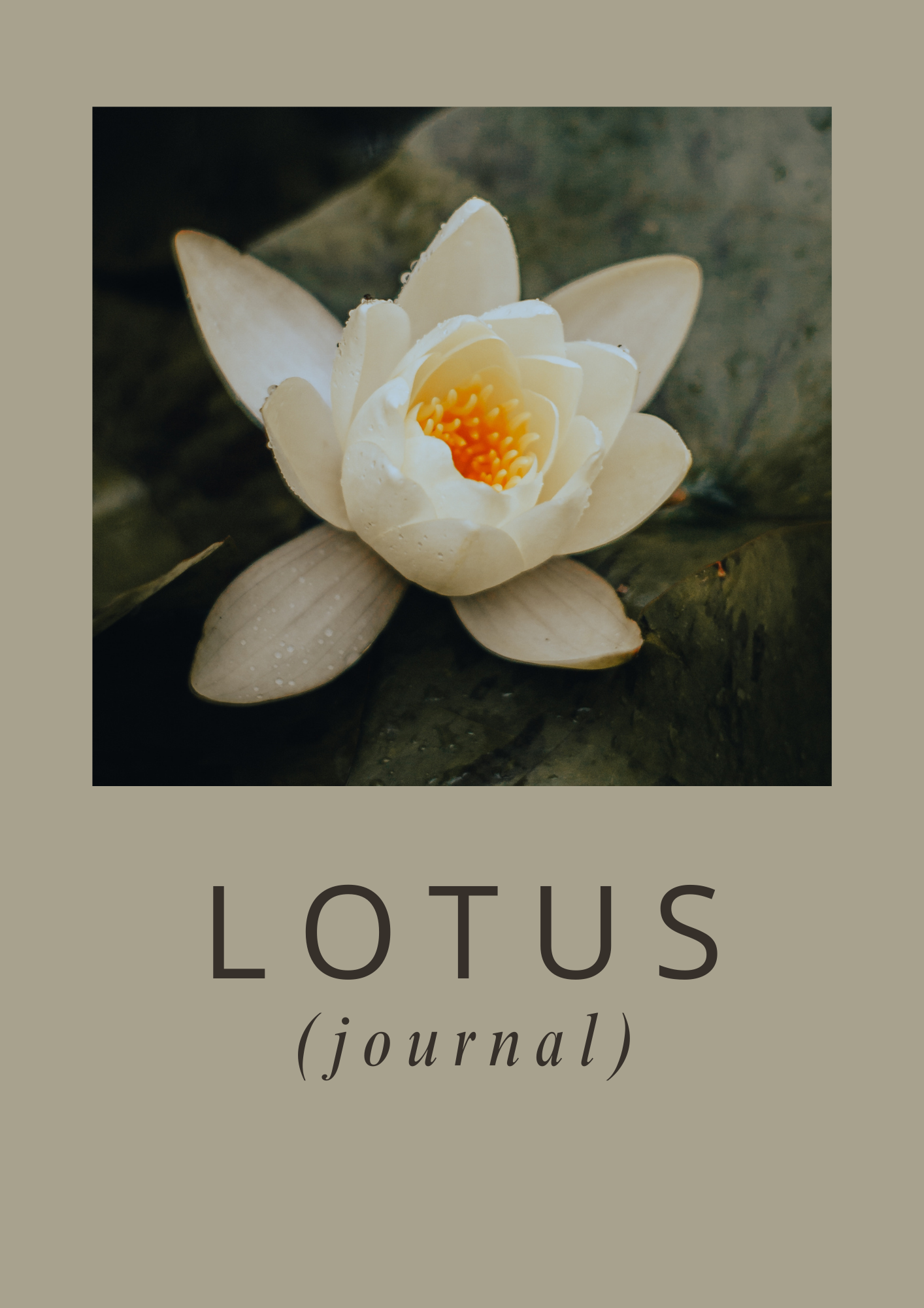 Glims av Lotus arbeidsbok