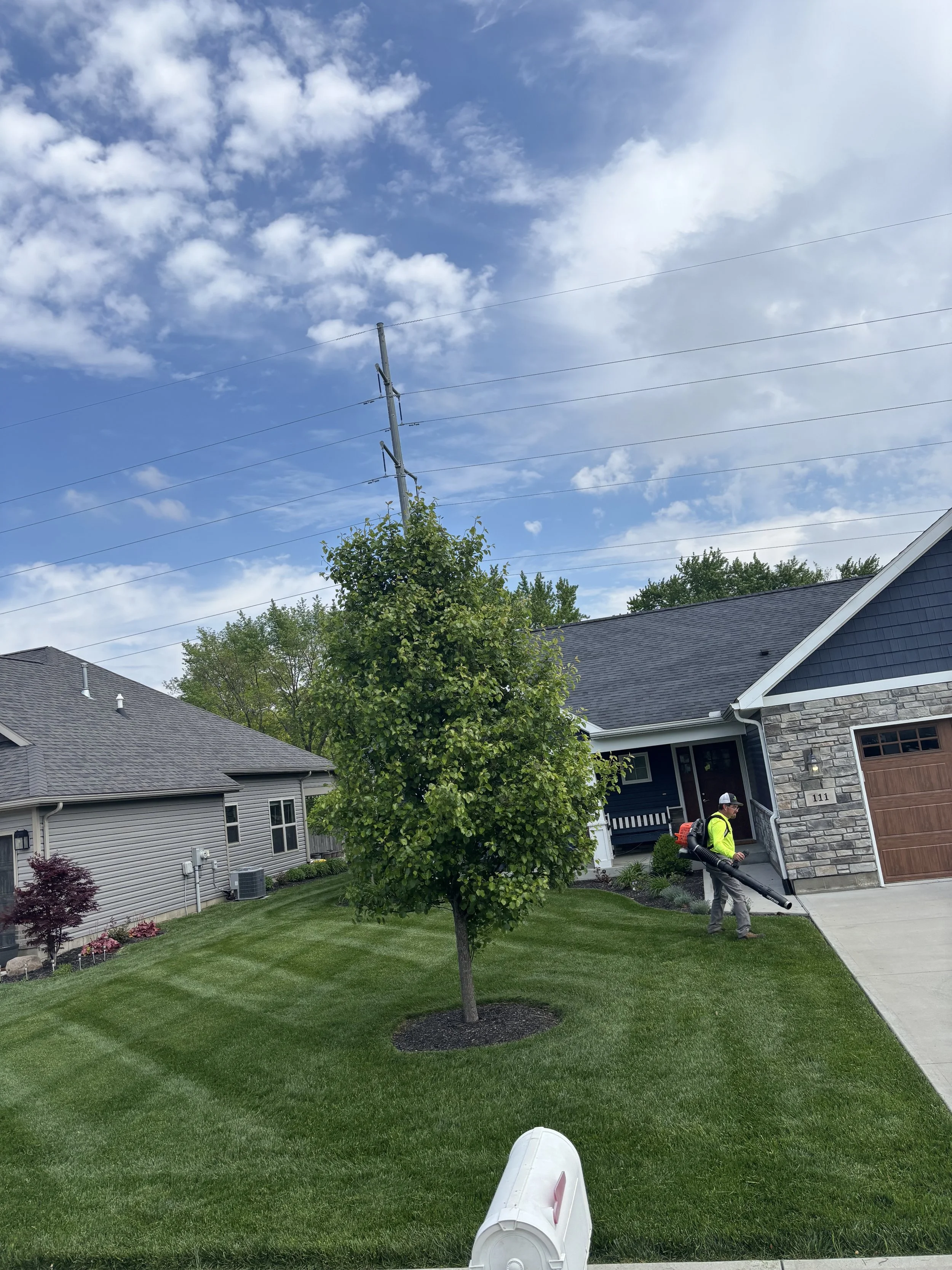 A person wearing a yellow high-visibility jacket and gray cap is blowing leaves or debris with a leaf blower in a front yard. The yard has green grass, a small tree, and a house with gray and stone exterior. The sky is partly cloudy with patches of b