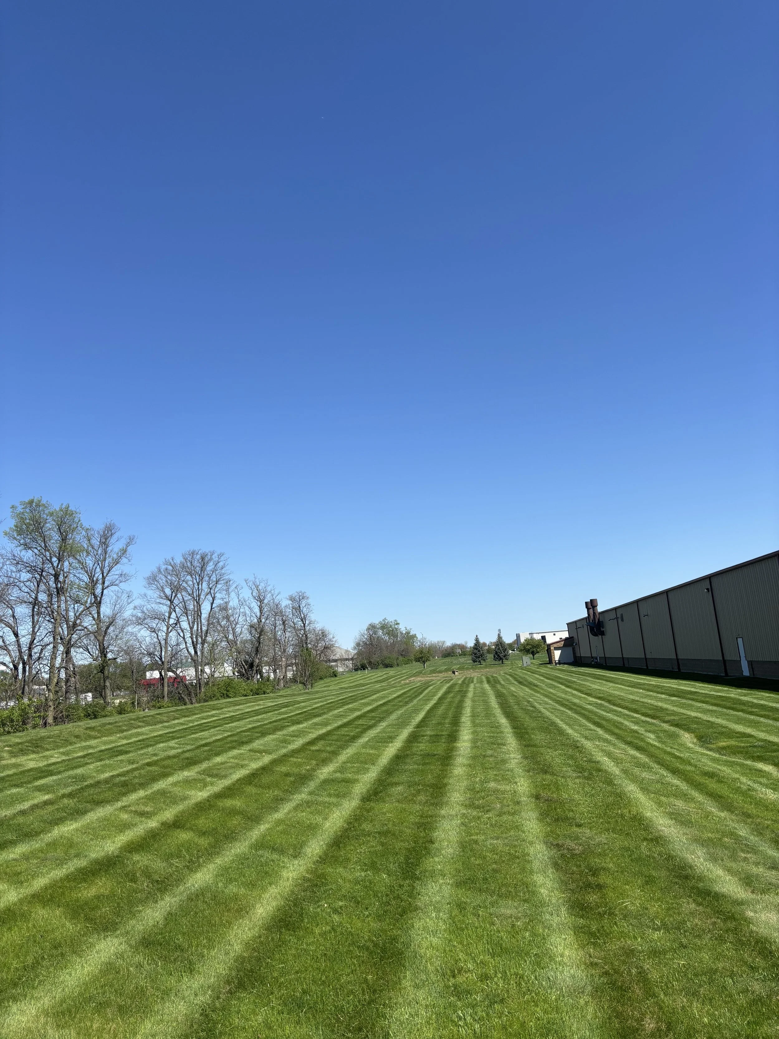 A large, well-maintained grassy field with alternating light and dark green stripes, bordered by trees on the left and a building on the right, under a clear blue sky.