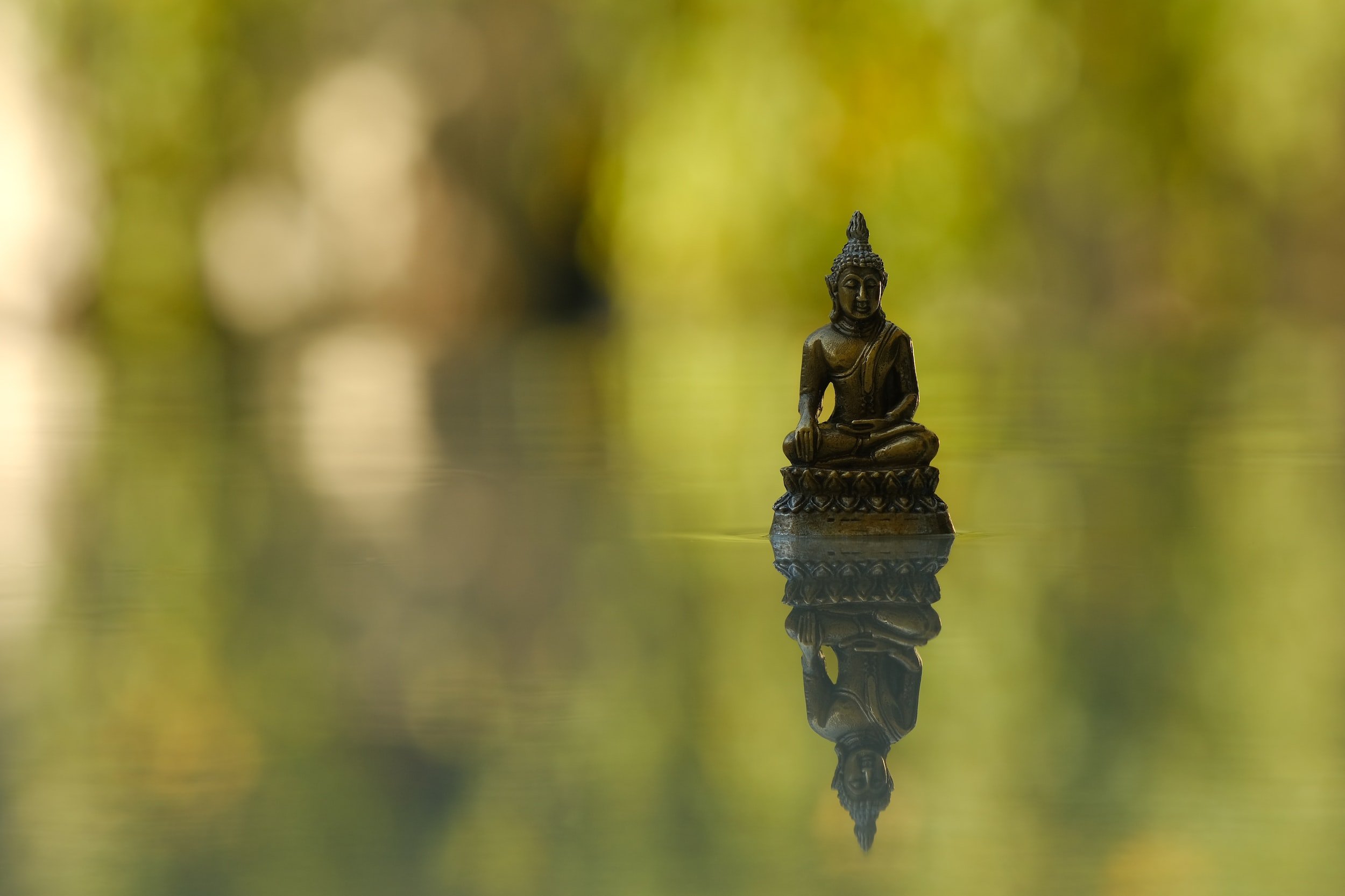 Meditation Program (Day 2)