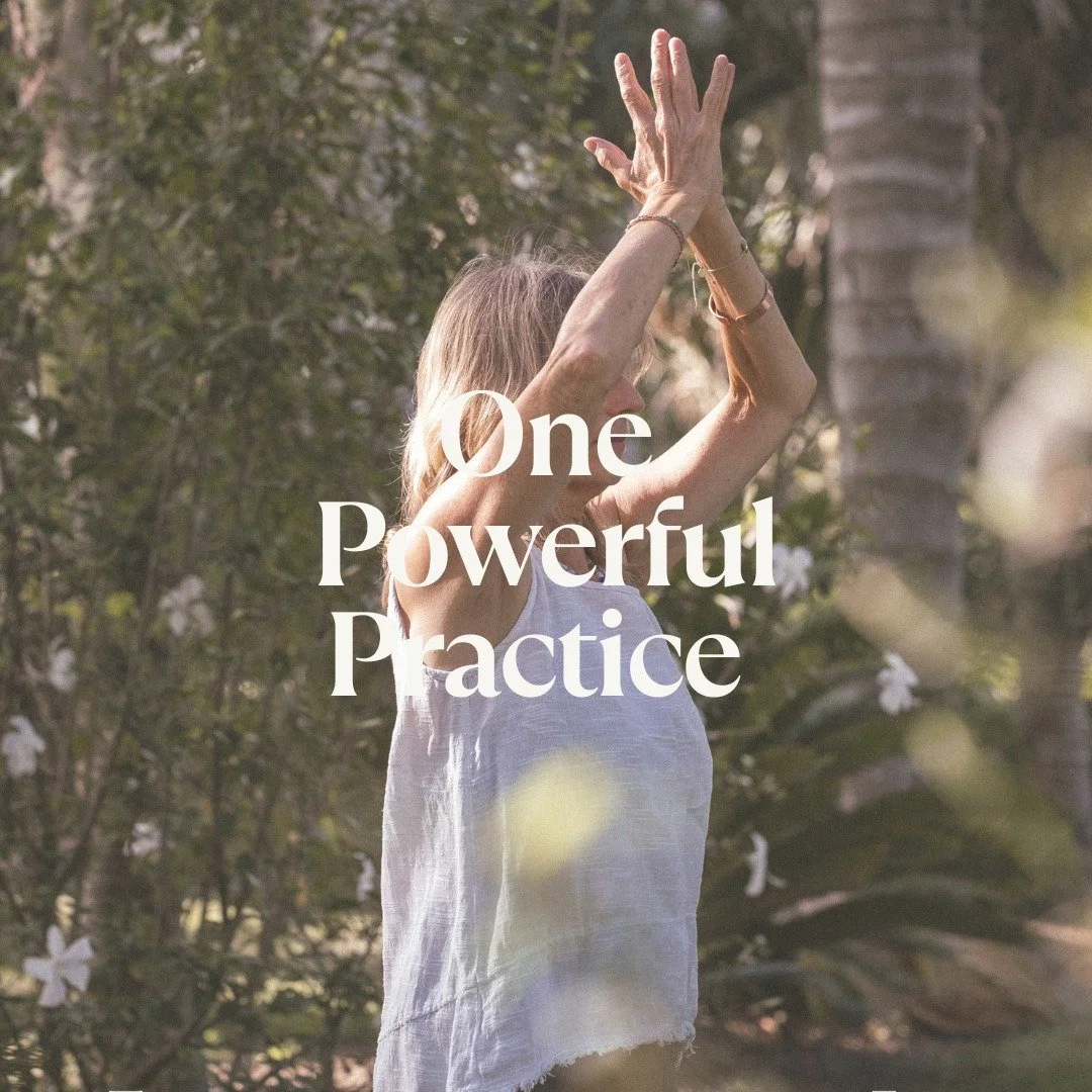 I would love you to join me...
Sadhana is a Sanskrit term that translates to a disciplined, devoted practice that helps soften long held patterns and tendencies buried deep in memory and brings us back to a kinder, freer presence.
In this gathering