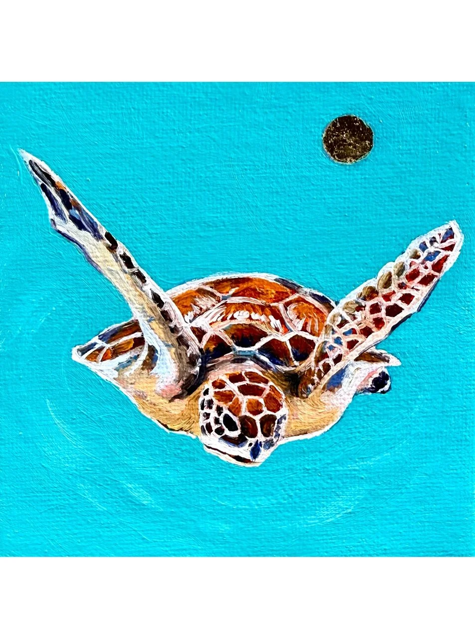 Day 20/100 "Turtle"