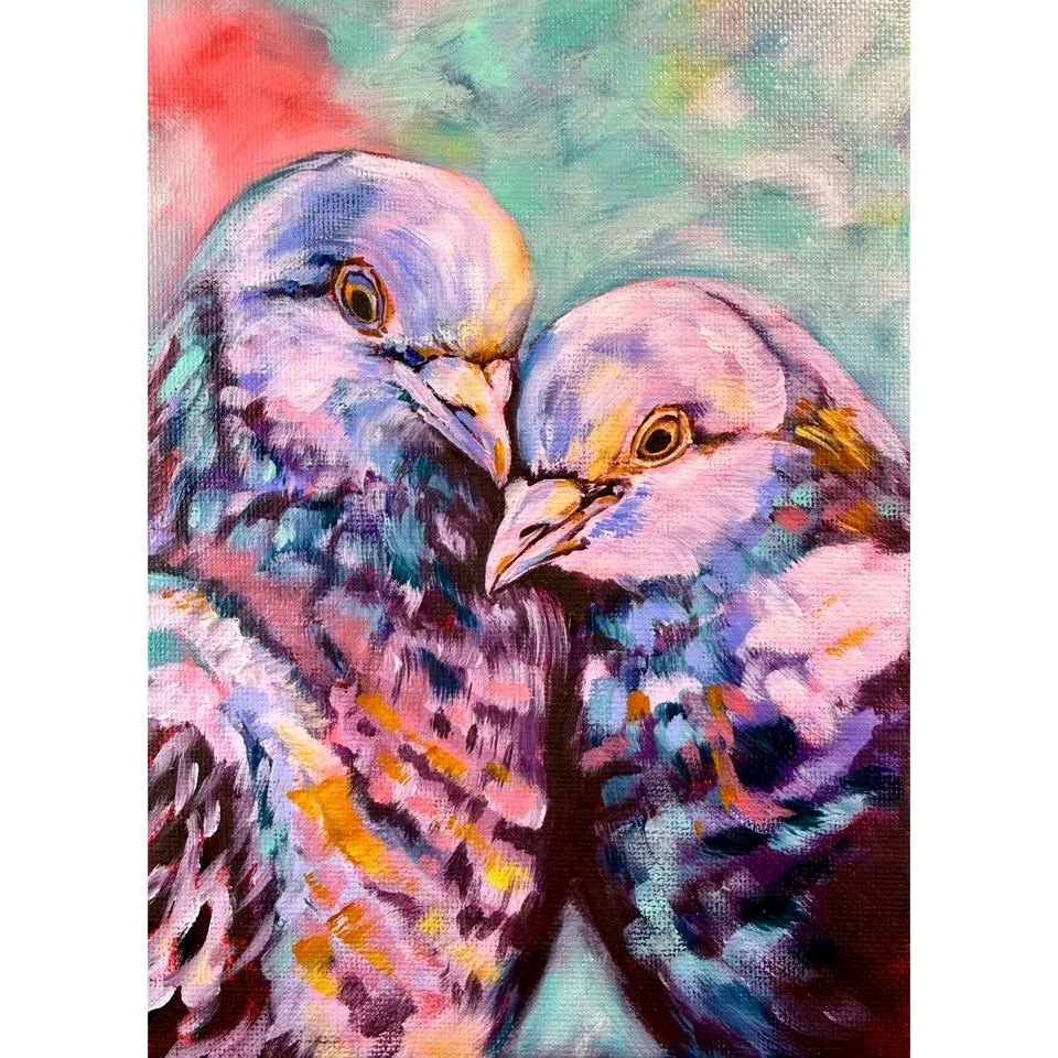 Day 15/100 "Pigeons"