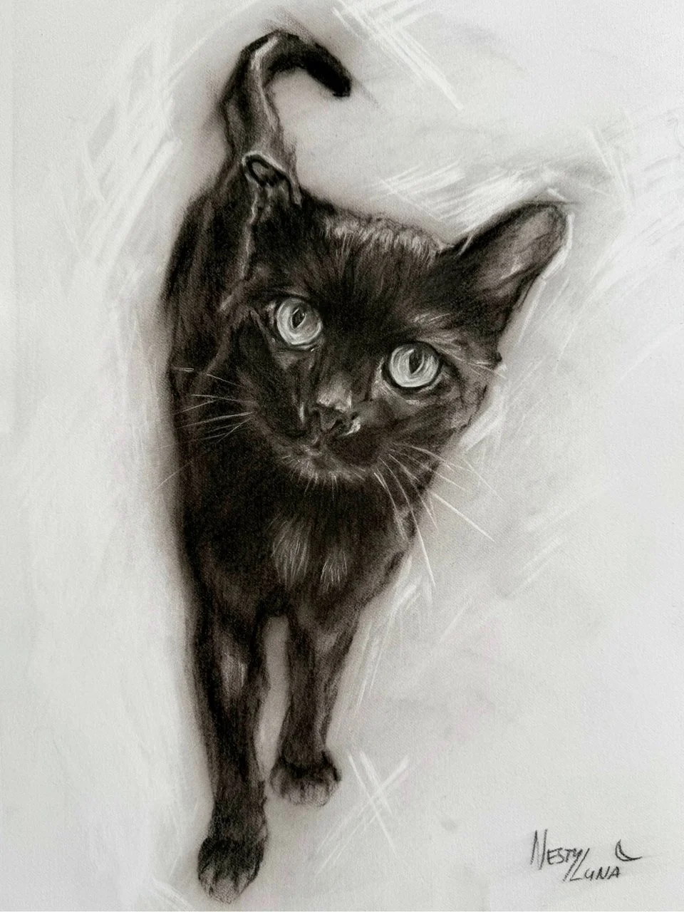 Cat %22Bony%22 charcoal drawing, Nesty Luna Art.jpg