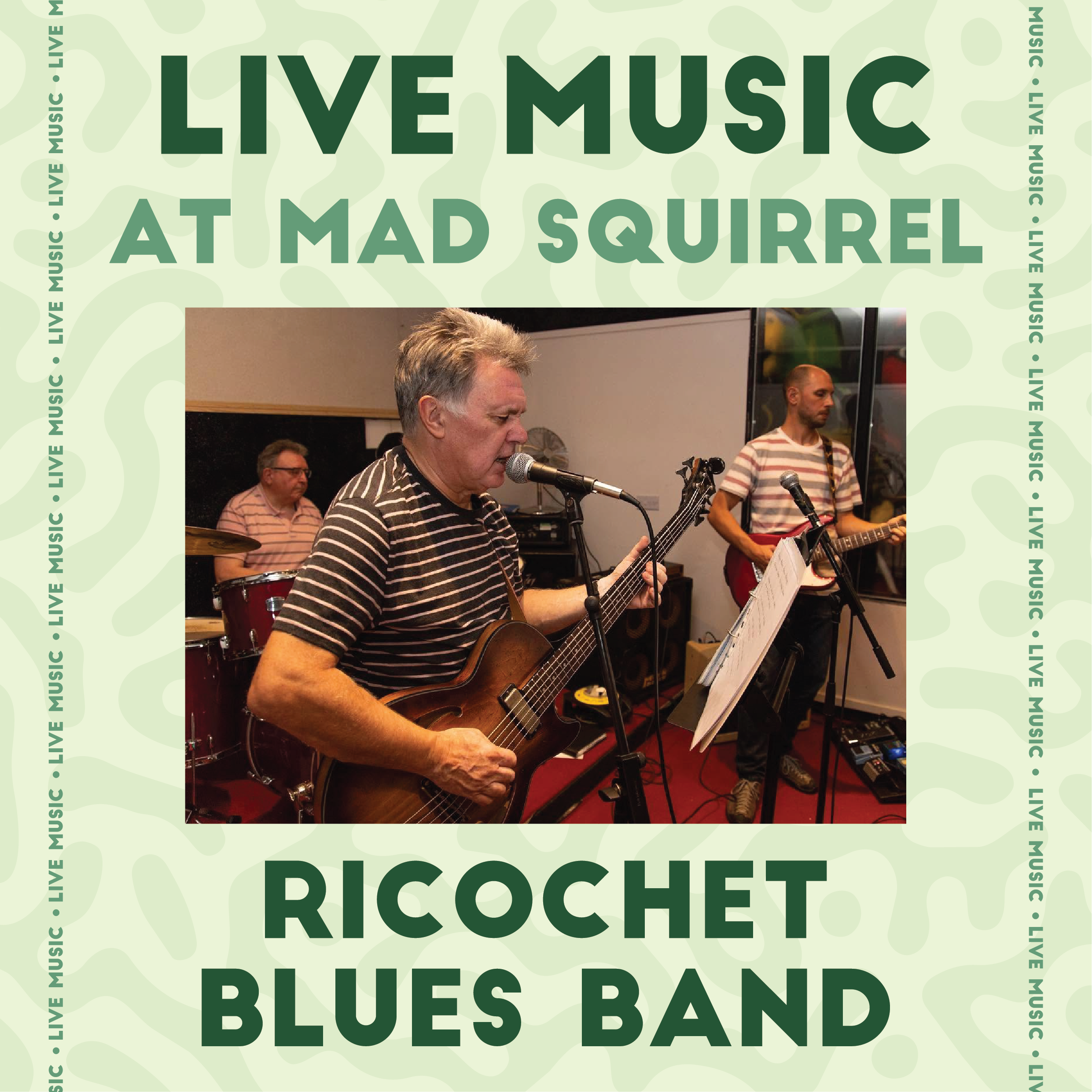 RICOCHET BLUES BAND