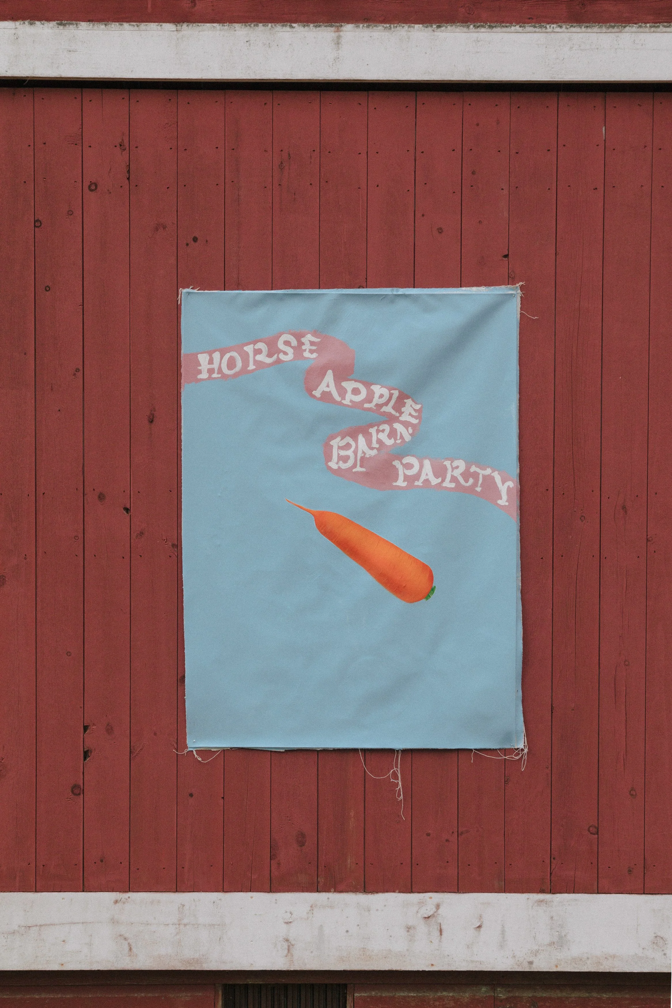 HORSE_APPLES_26-0083 2.JPEG