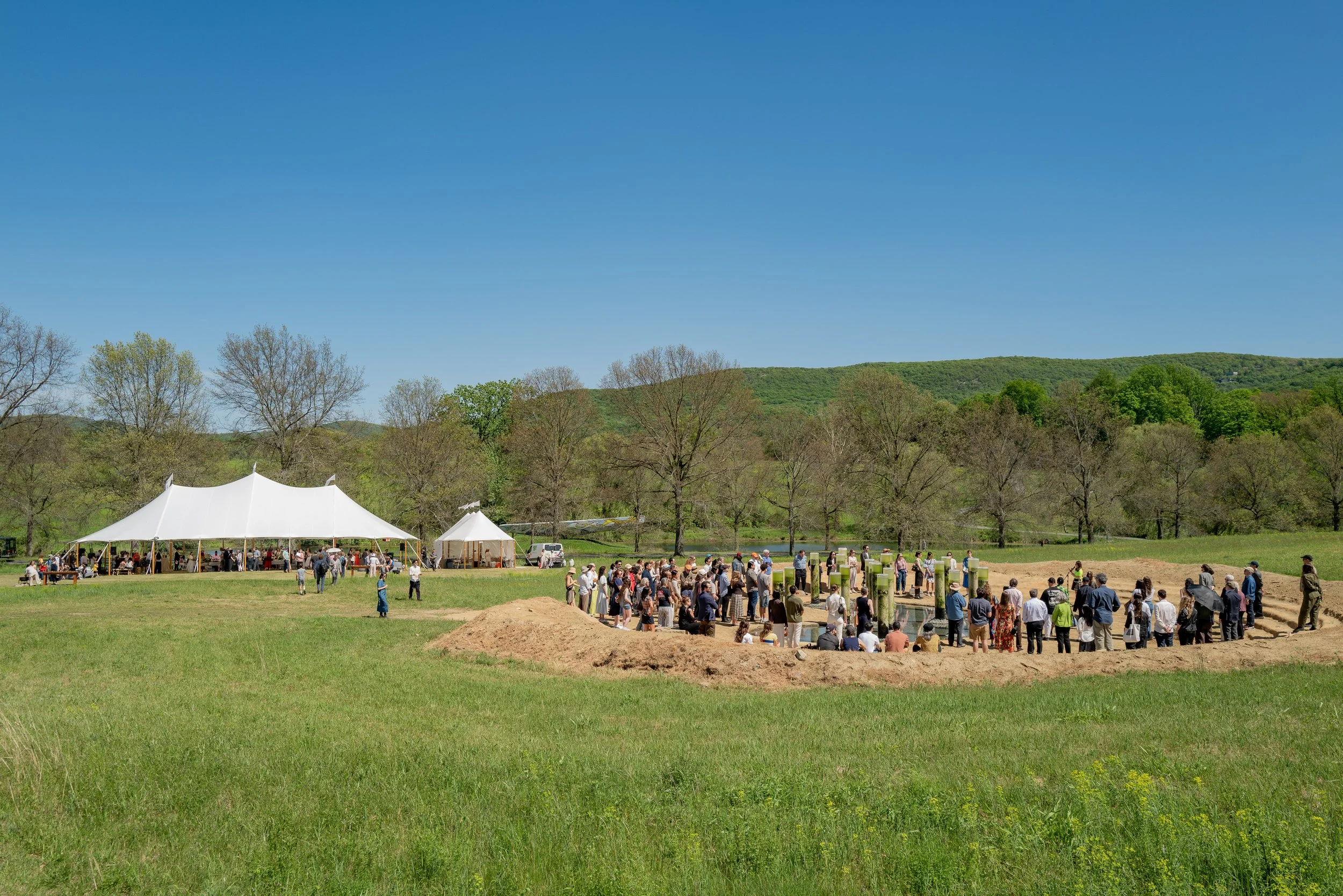 BFA_54364_7933345.jpg