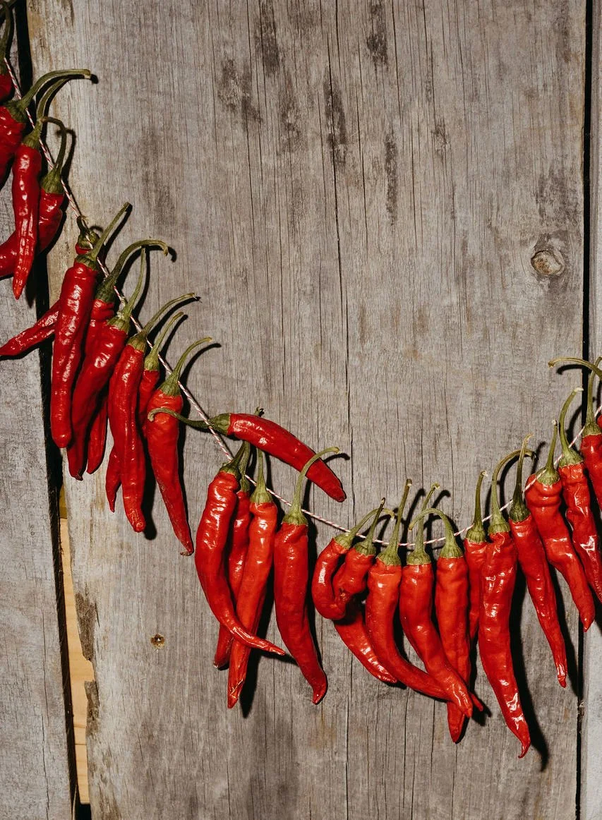 A_New_Farmer's_Almanac_Saipua-115.jpg