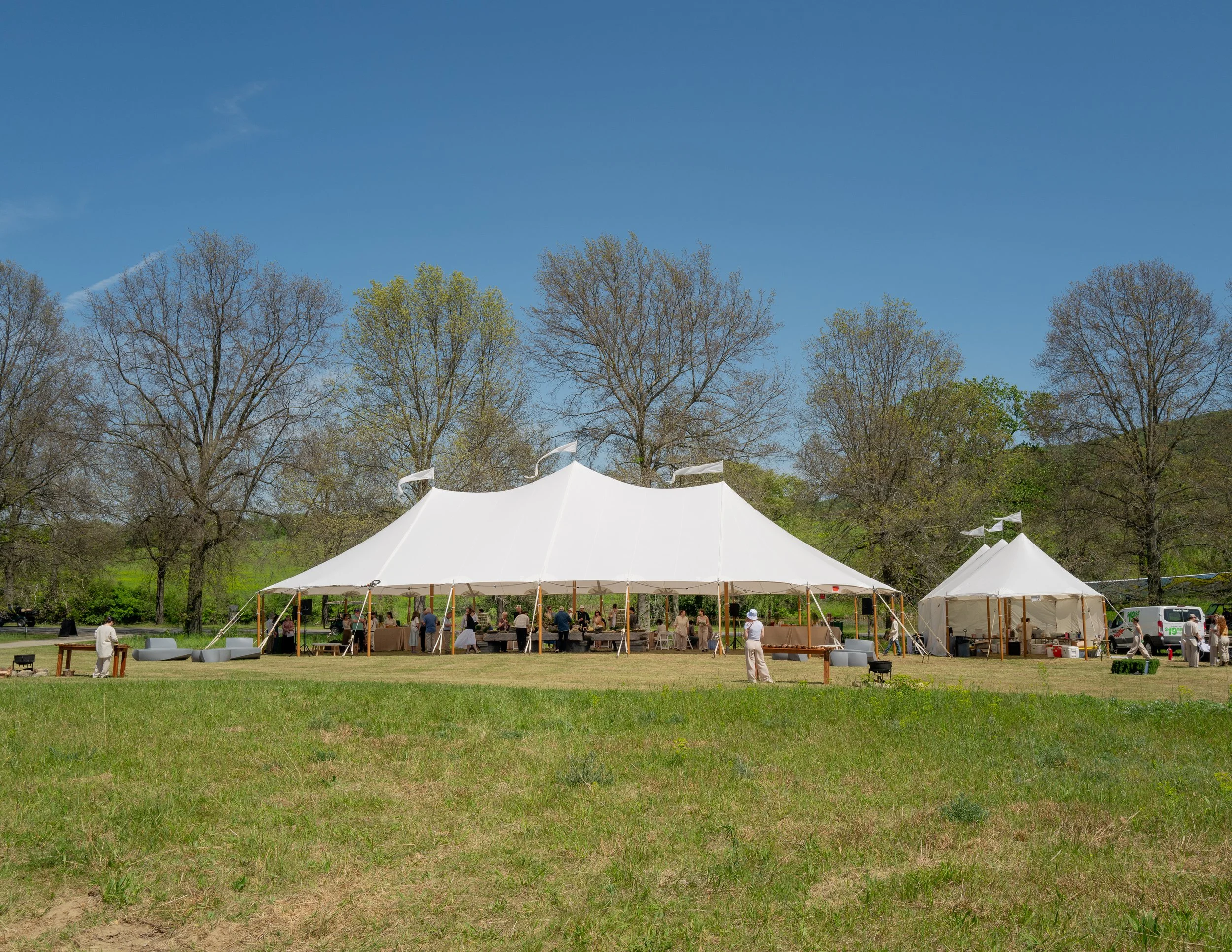 BFA_54364_7933302.jpg