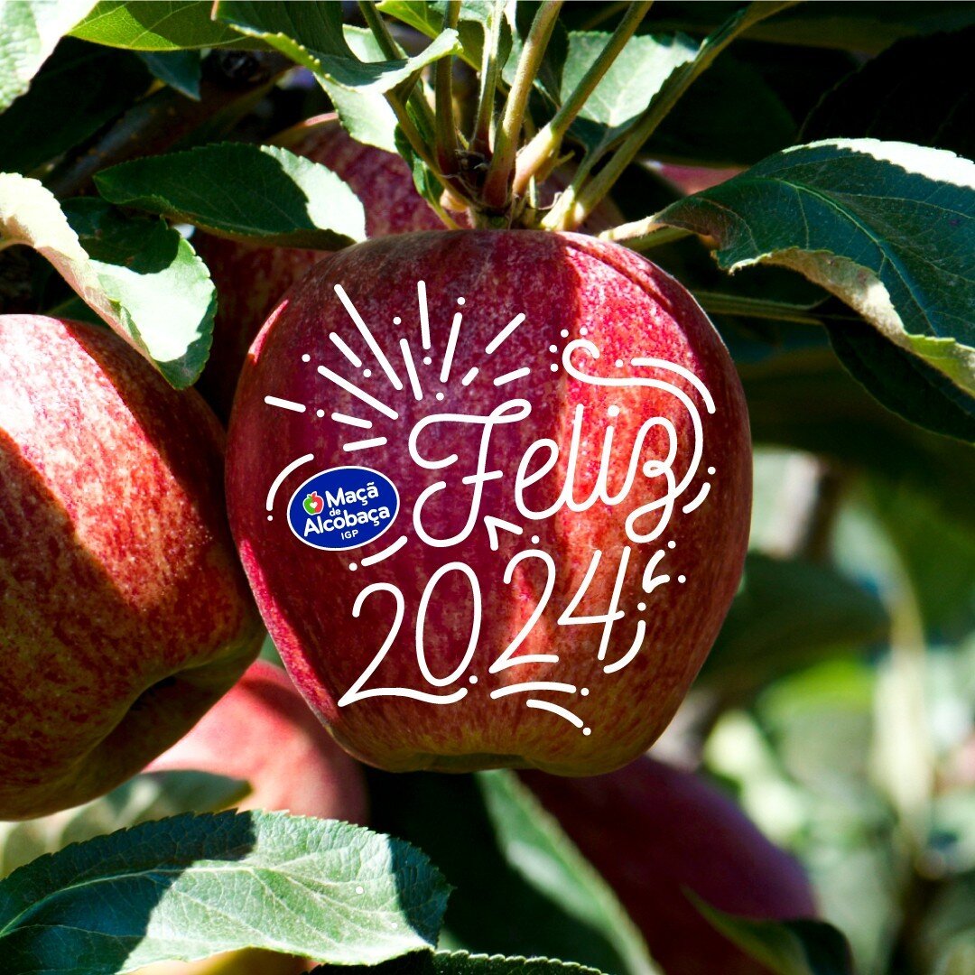 Brindamos a um 2024 repleto de momentos deliciosos e experi&ecirc;ncias inesquec&iacute;veis! 🥳 
⠀⠀⠀⠀⠀⠀⠀⠀⠀⠀
⠀⠀⠀⠀⠀⠀⠀⠀⠀⠀
#Ma&ccedil;&atilde;deAlcoba&ccedil;a #fruta #health #natural #vidasaud&aacute;vel #apples #HappyNewYear