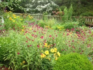 The-Perennial-Border.-320x240.jpg