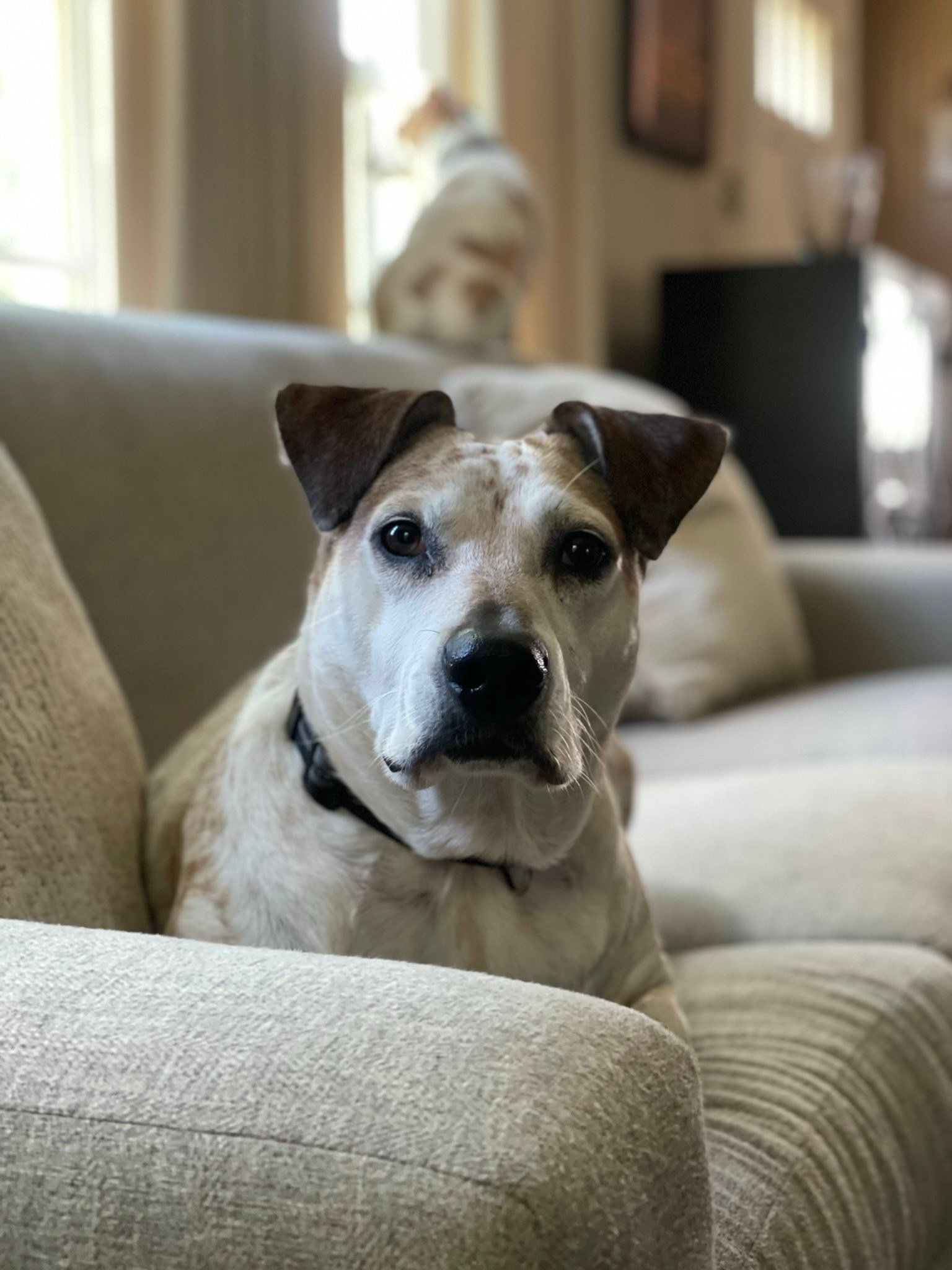 someone is having a birthday!!!