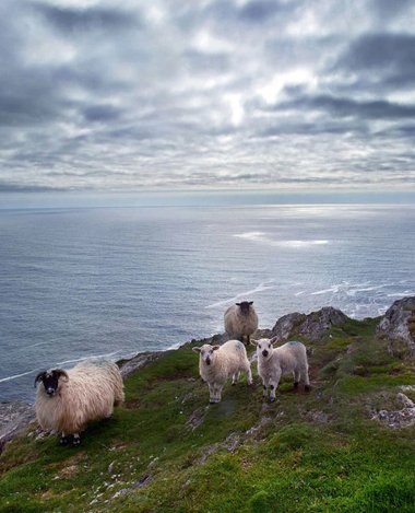 Ireland With Michael