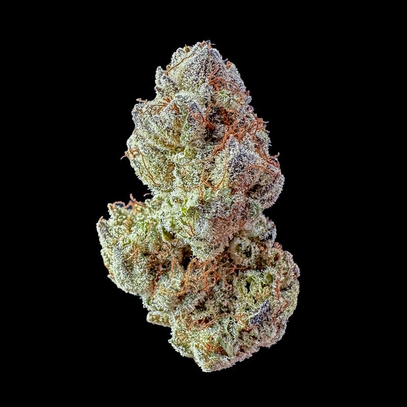 The Jam Florida Purple x (GG4 x Frost Donkey) — Amaze Cannabis