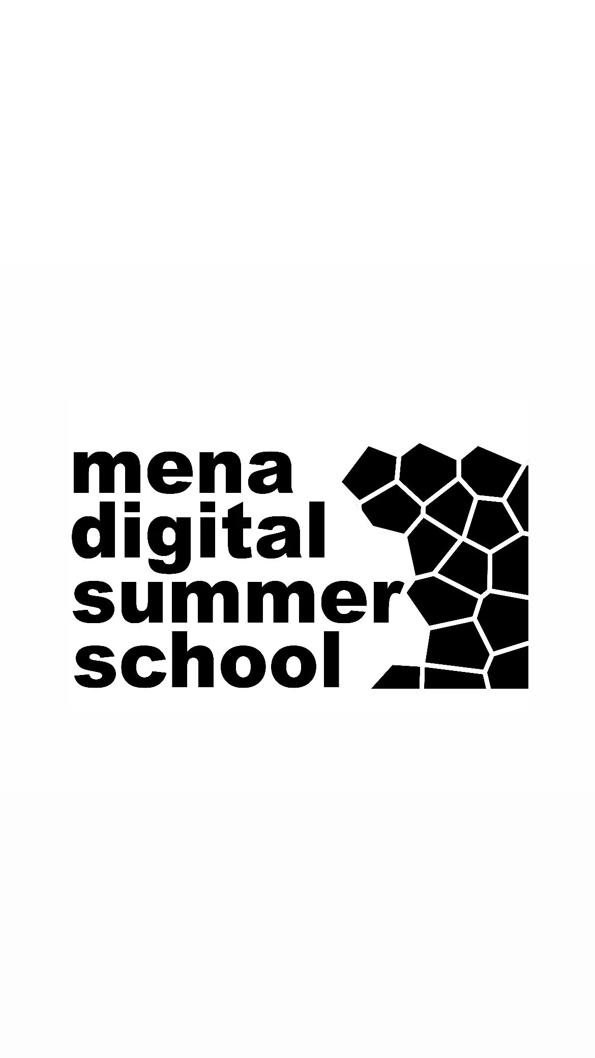 MENA DSS