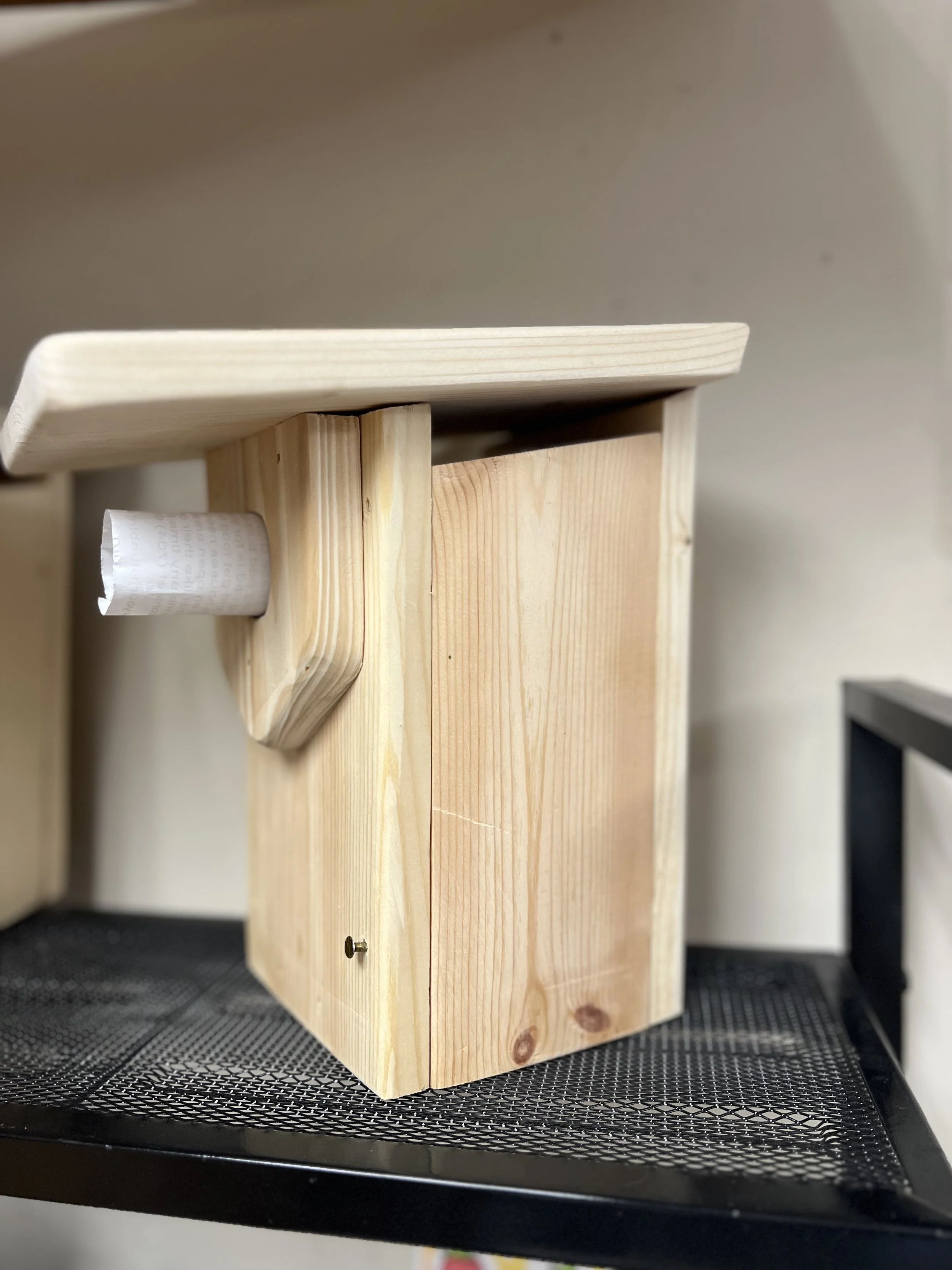 DIY Blue Bird House Kit | Wood Art Crafts in Huntersville, NC | Lee's