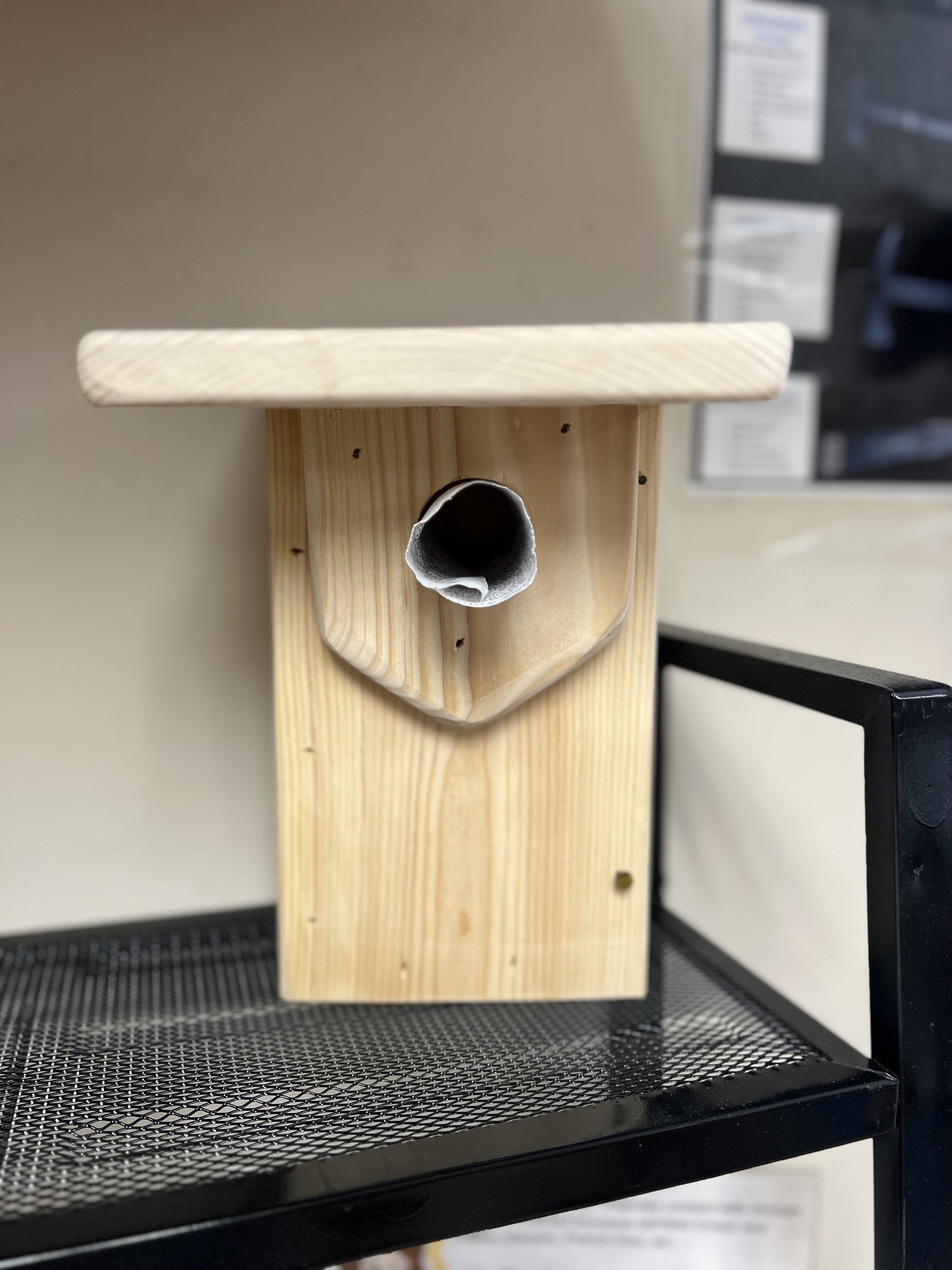 DIY Blue Bird House Kit | Wood Art Crafts in Huntersville, NC | Lee's